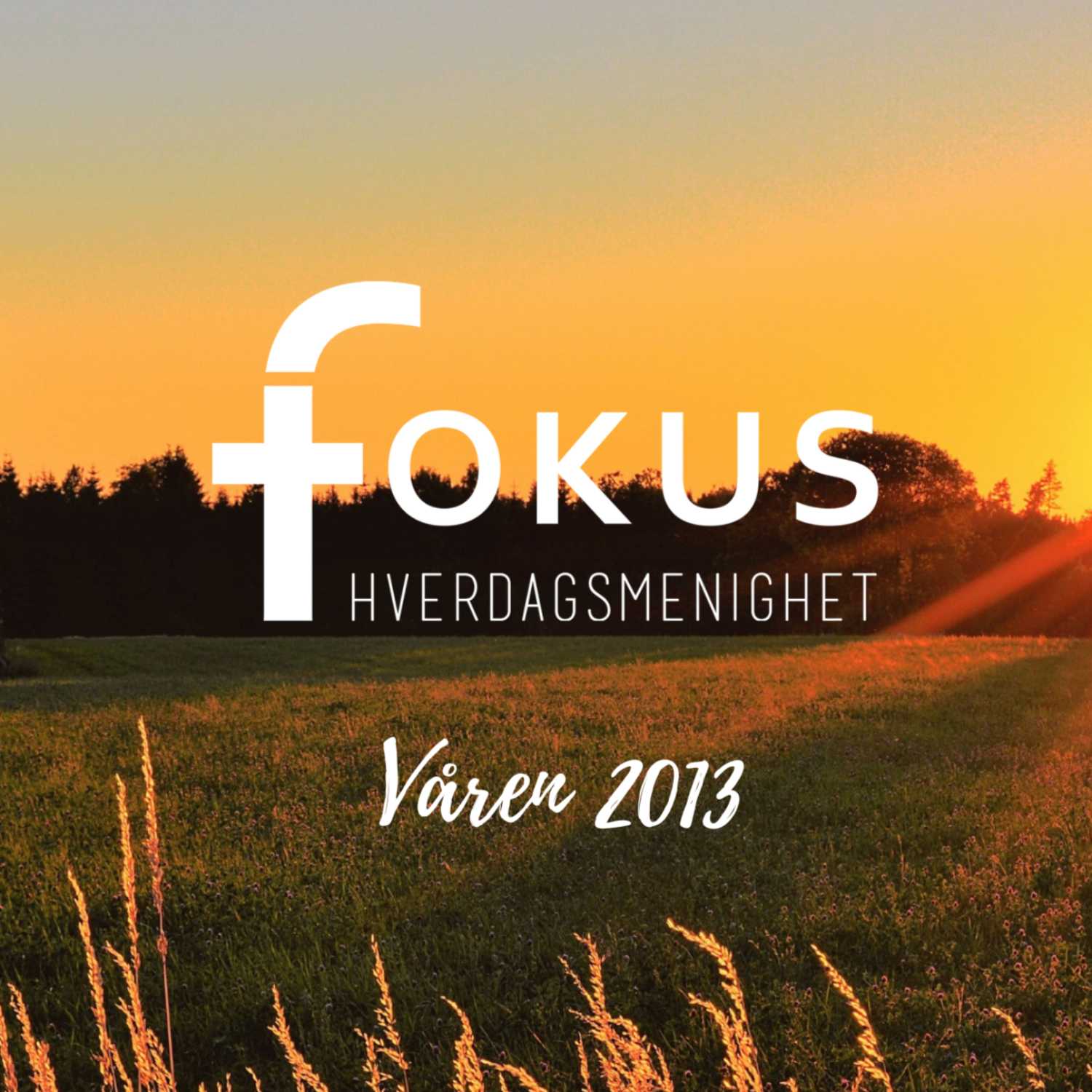Fokus Hverdagsmenighet