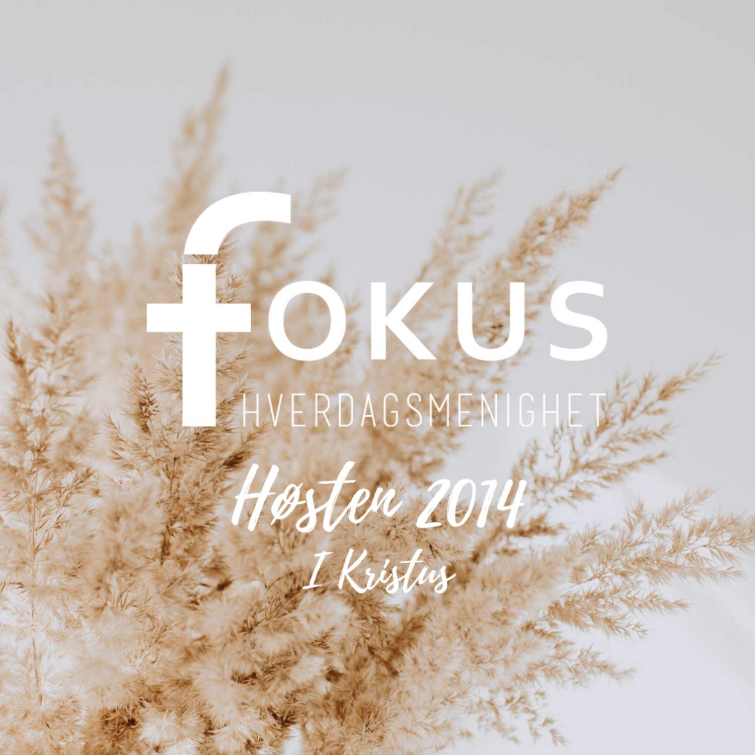 Fokus Hverdagsmenighet