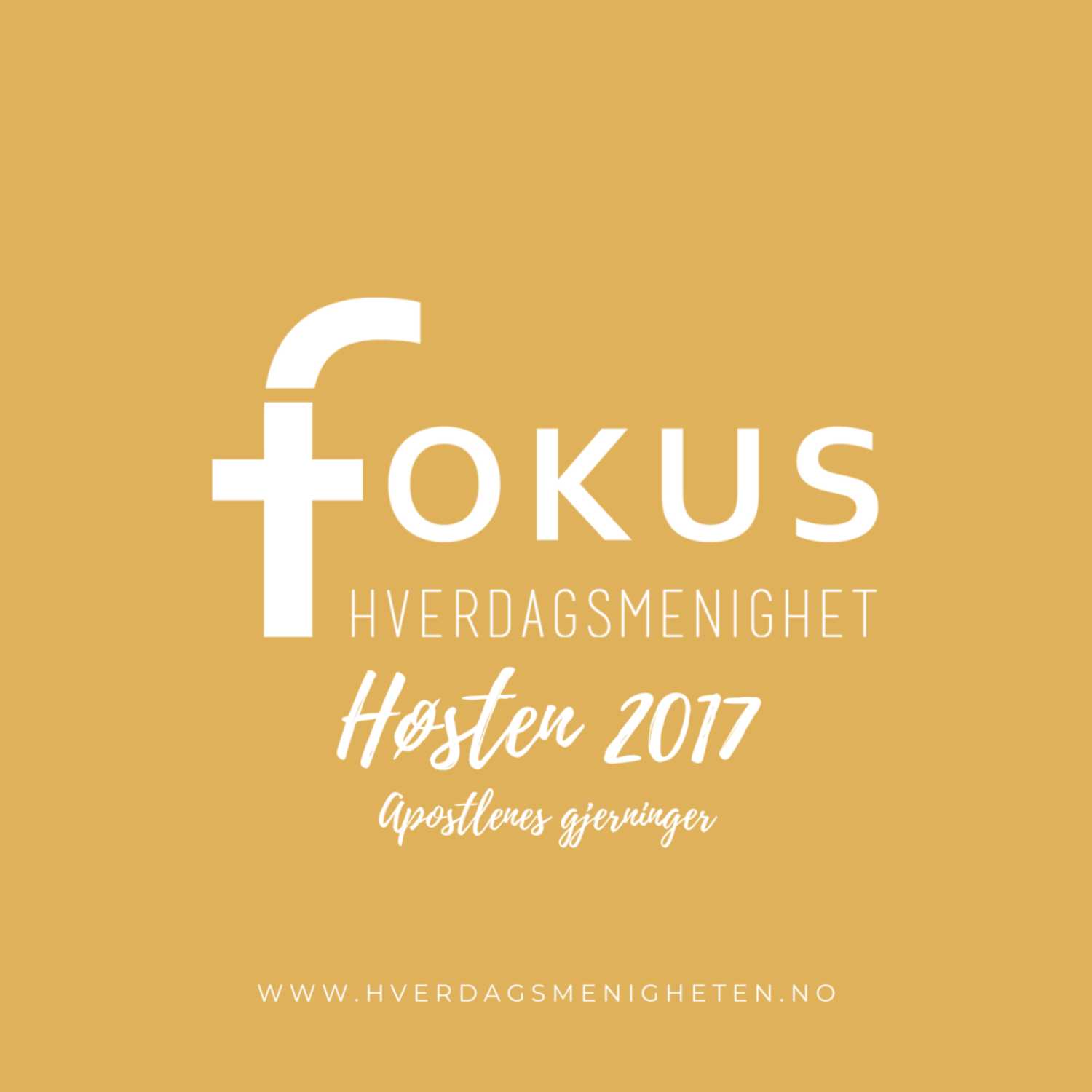 Fokus Hverdagsmenighet