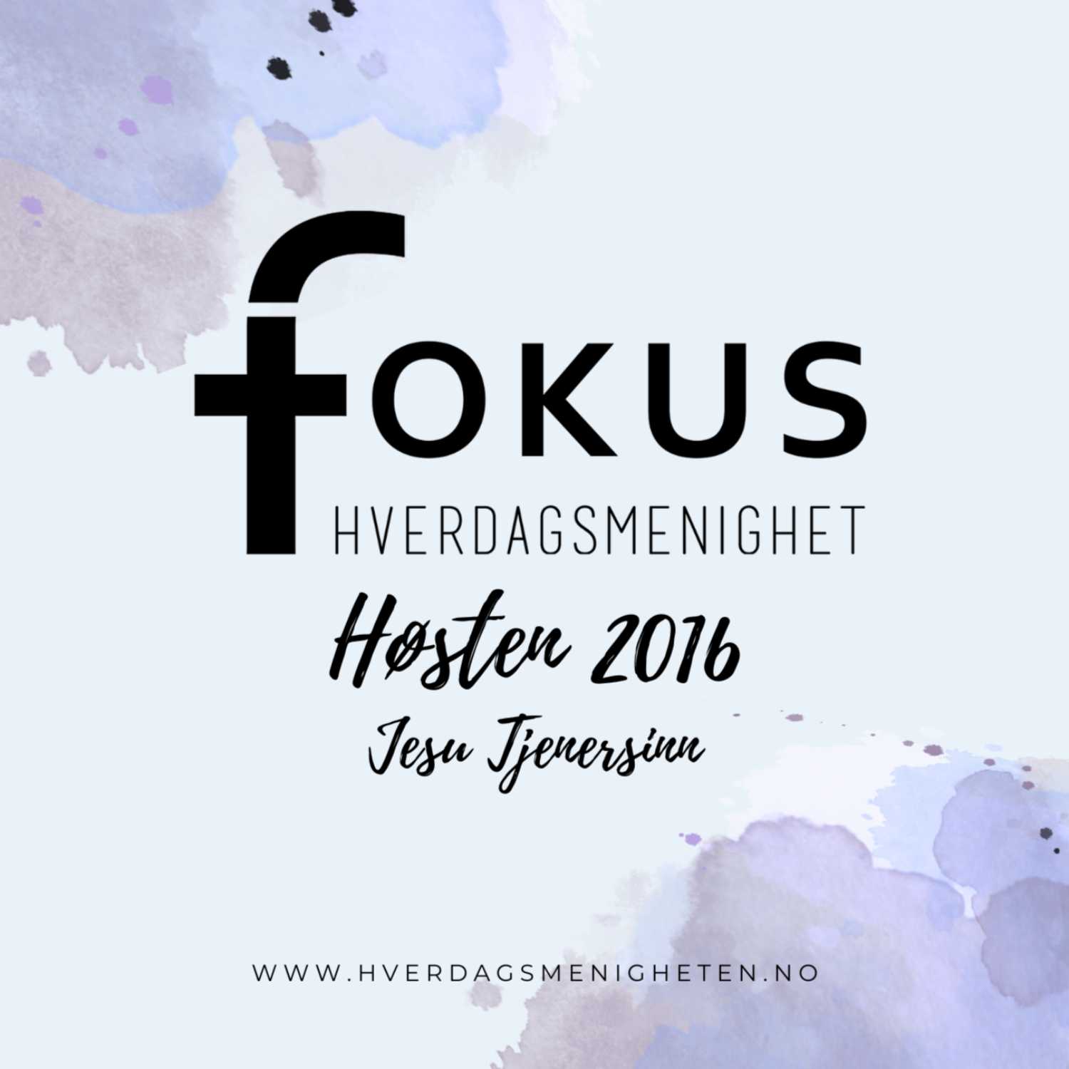 Fokus Hverdagsmenighet