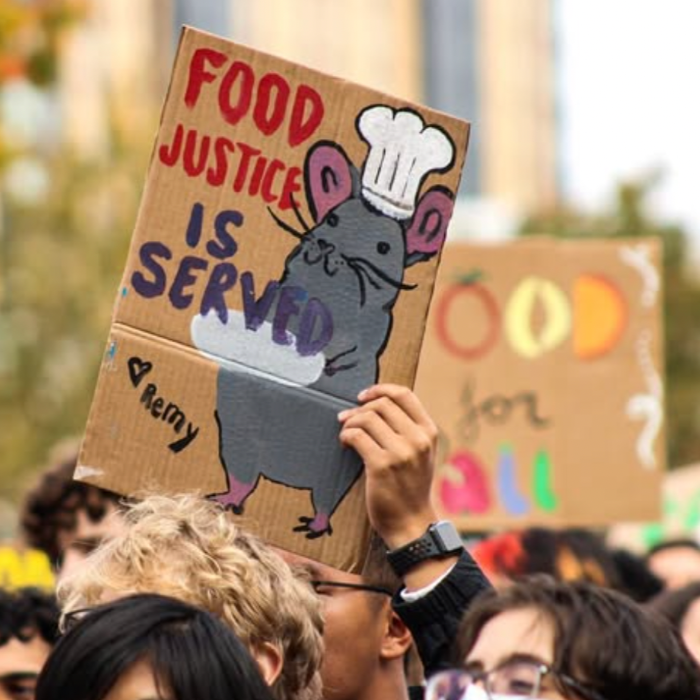 Food for Thought: Fighting Food Insecurity on Campus