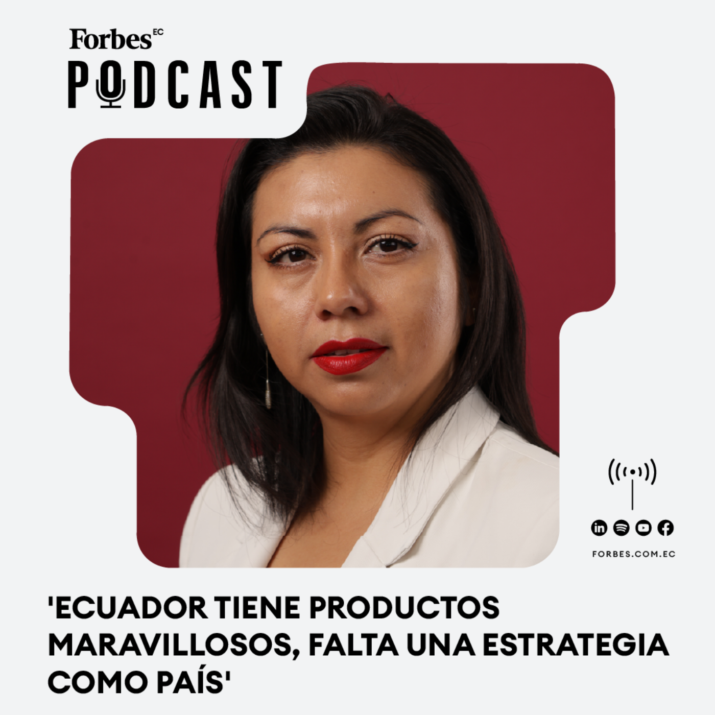 Capítulo 222: 'Ecuador tiene productos maravillosos, falta una estrategia como país' episode artwork