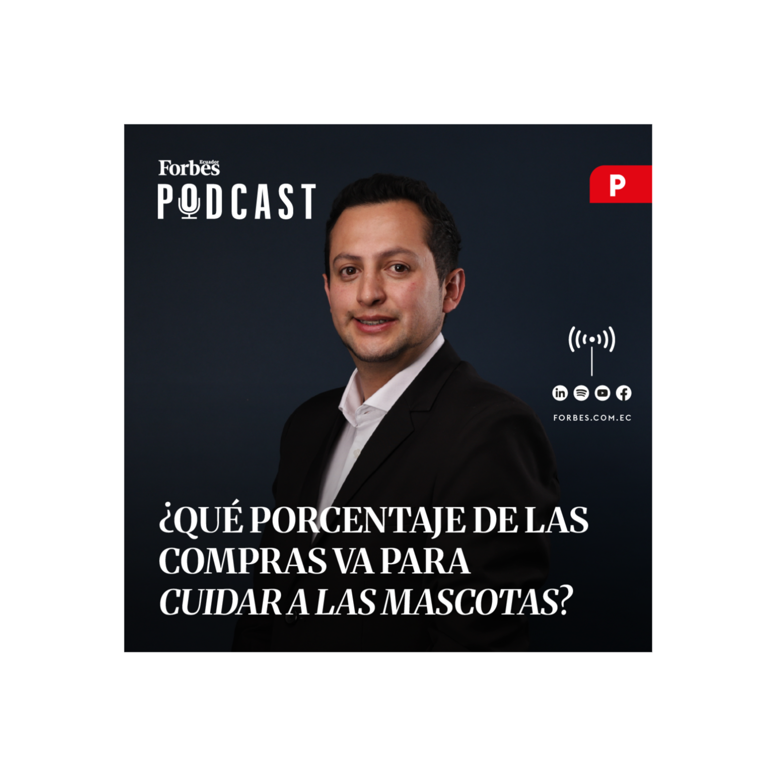Capítulo #312: ¿Qué porcentaje de las compras va para cuidar a las mascotas? episode artwork