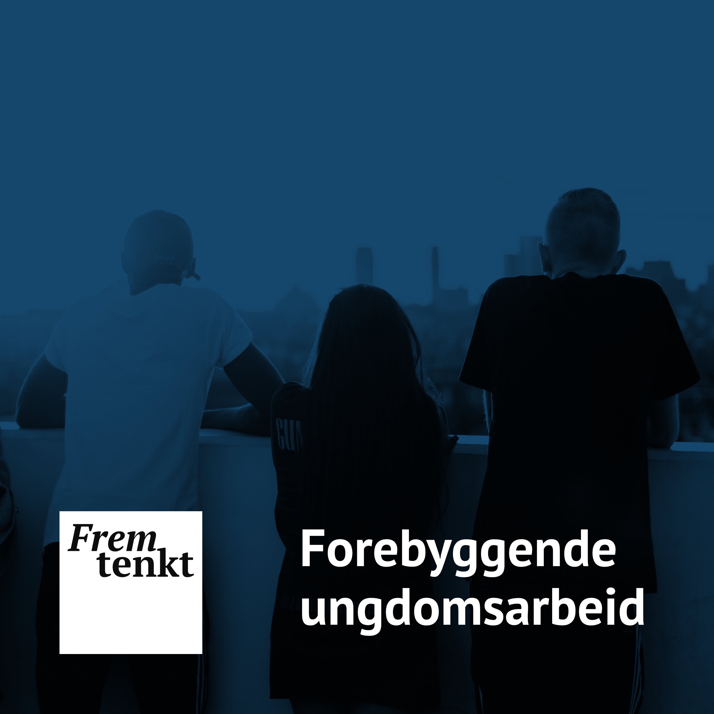 Forebyggende ungdomsarbeid