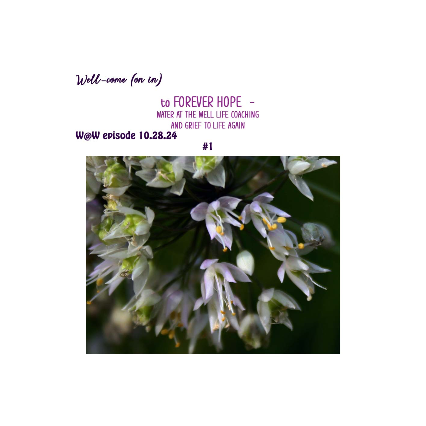 Welcome to Forever Hope - a Biblical Coaching ministry aka Water at the Well /Grief2LifeAgain episode artwork