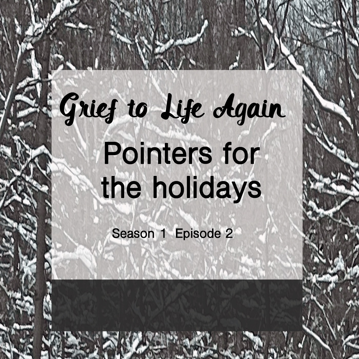 Forever Hope S1E2 ~ Grief and the Holidays episode artwork