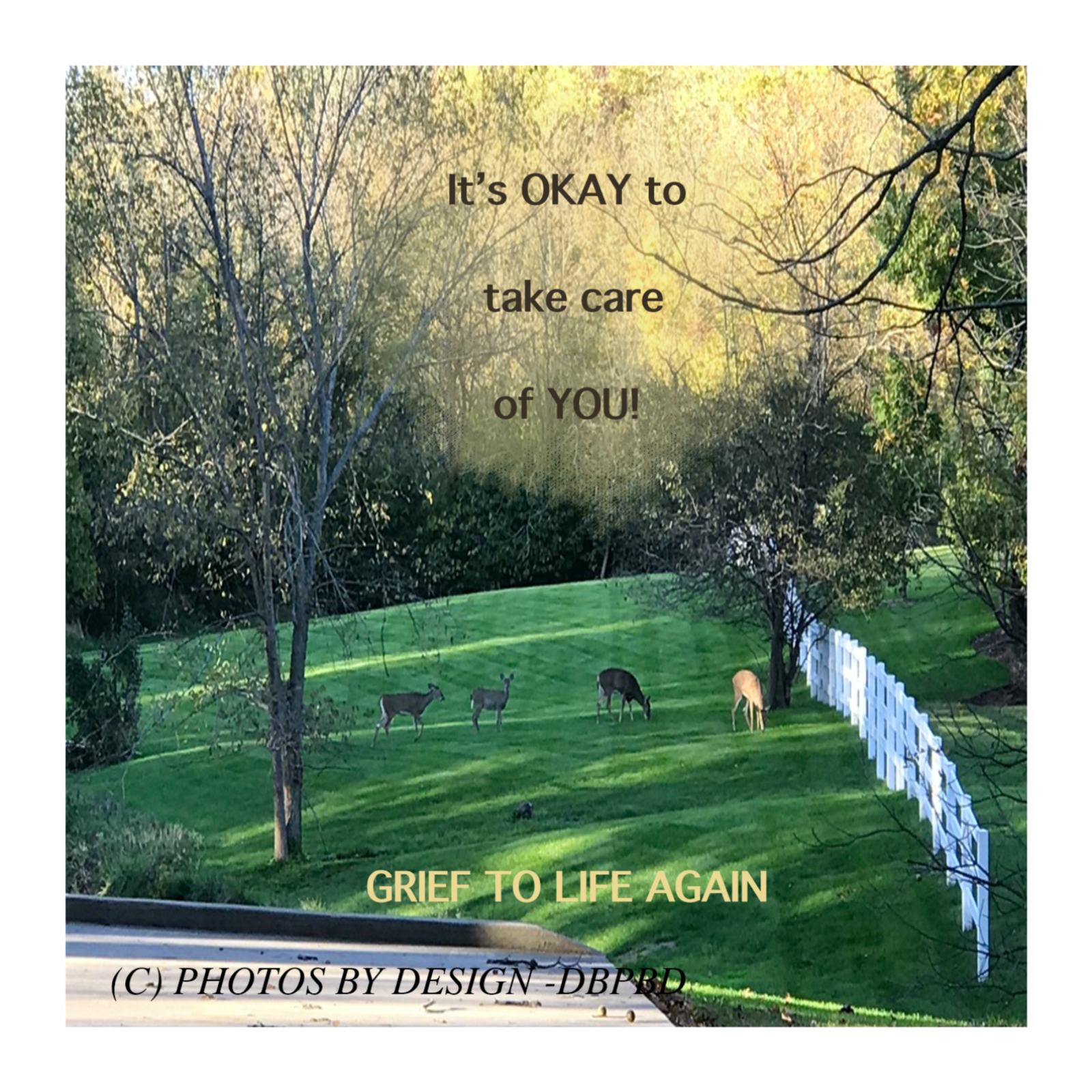 It's okay to take care of you! episode artwork
