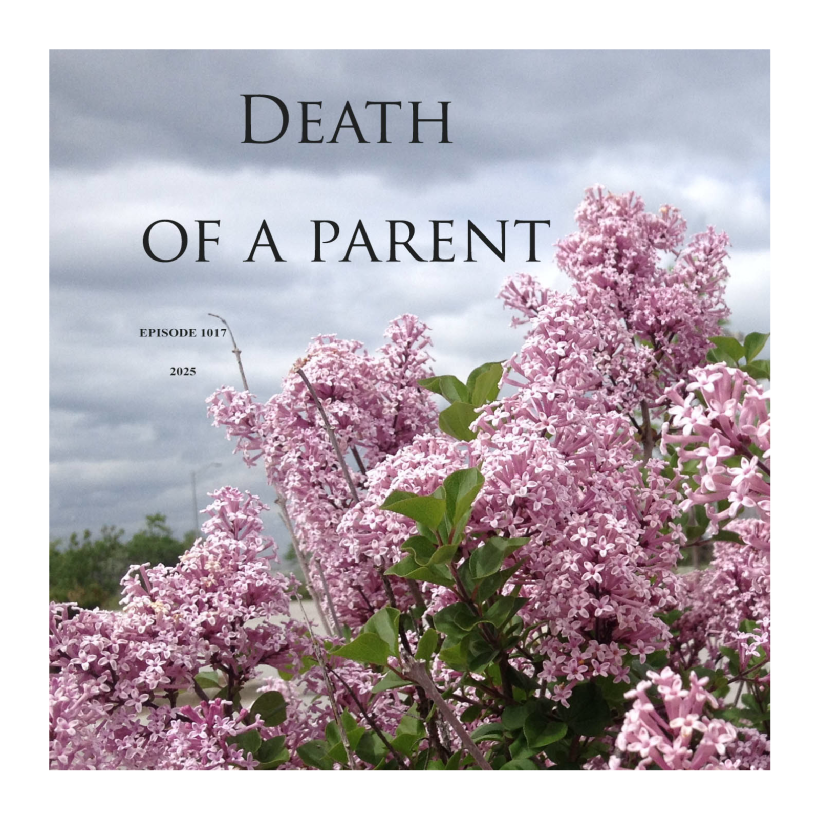 Death of a Parent   episode artwork
