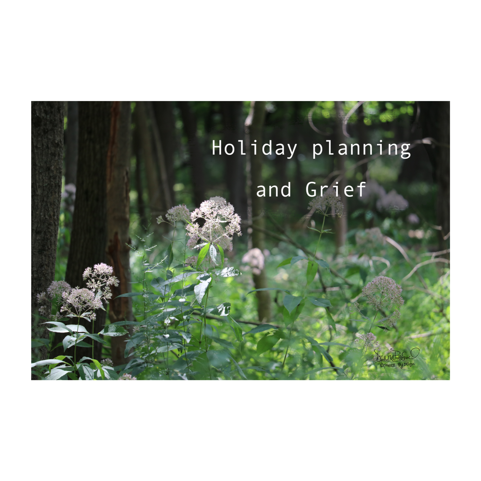 Holiday plans and grief  episode artwork