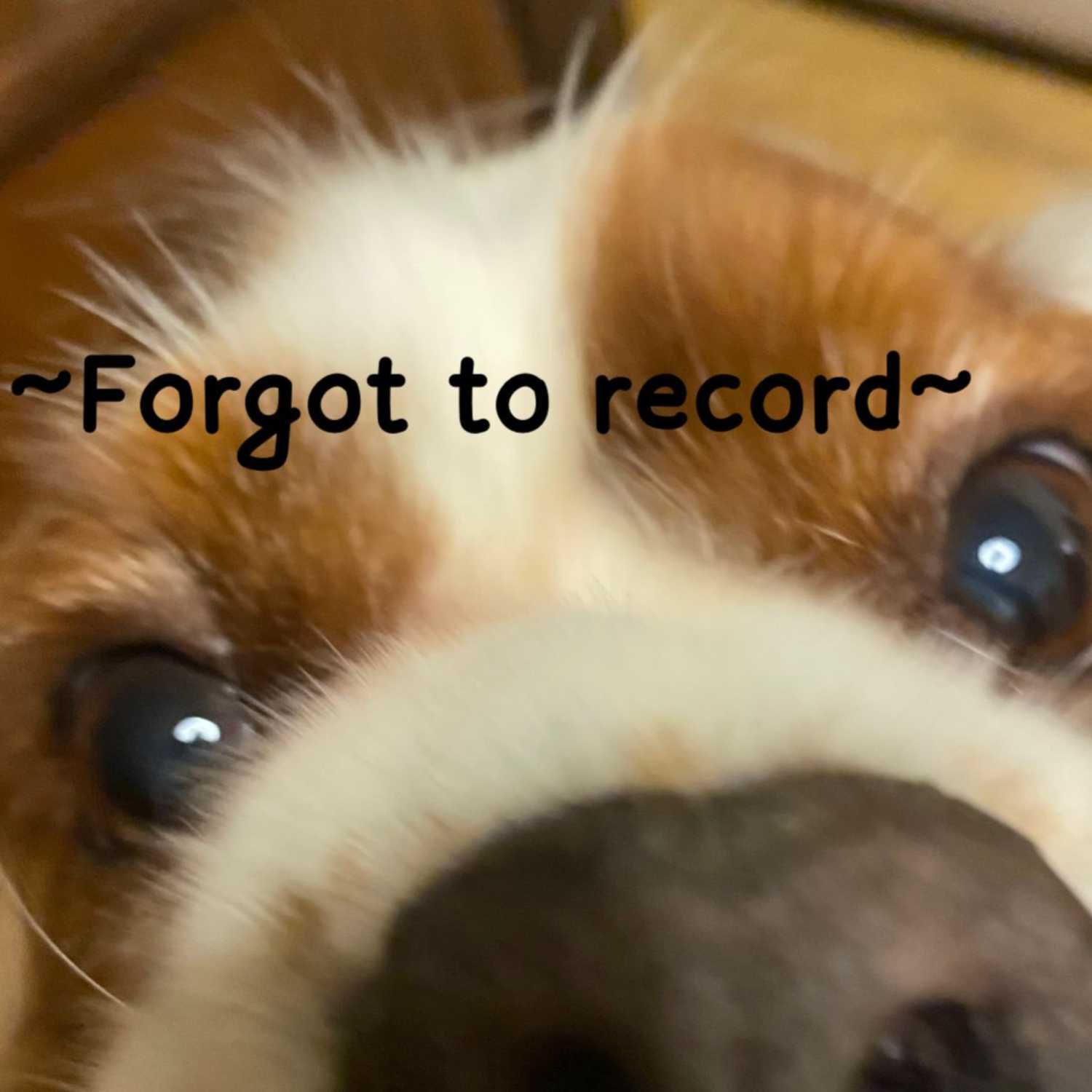 Forgot to Record podcast artwork