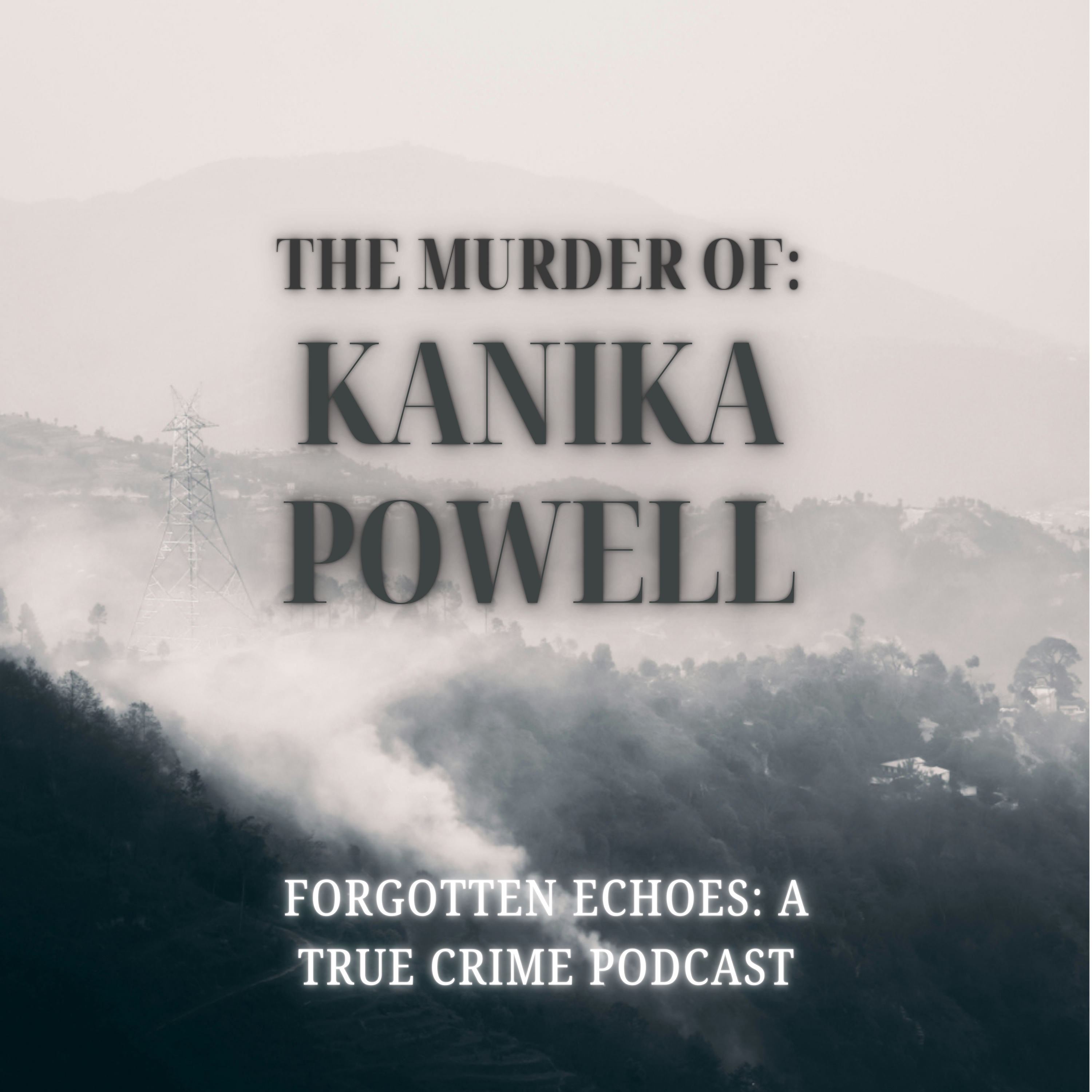 Forgotten Echoes: A True Crime Podcast