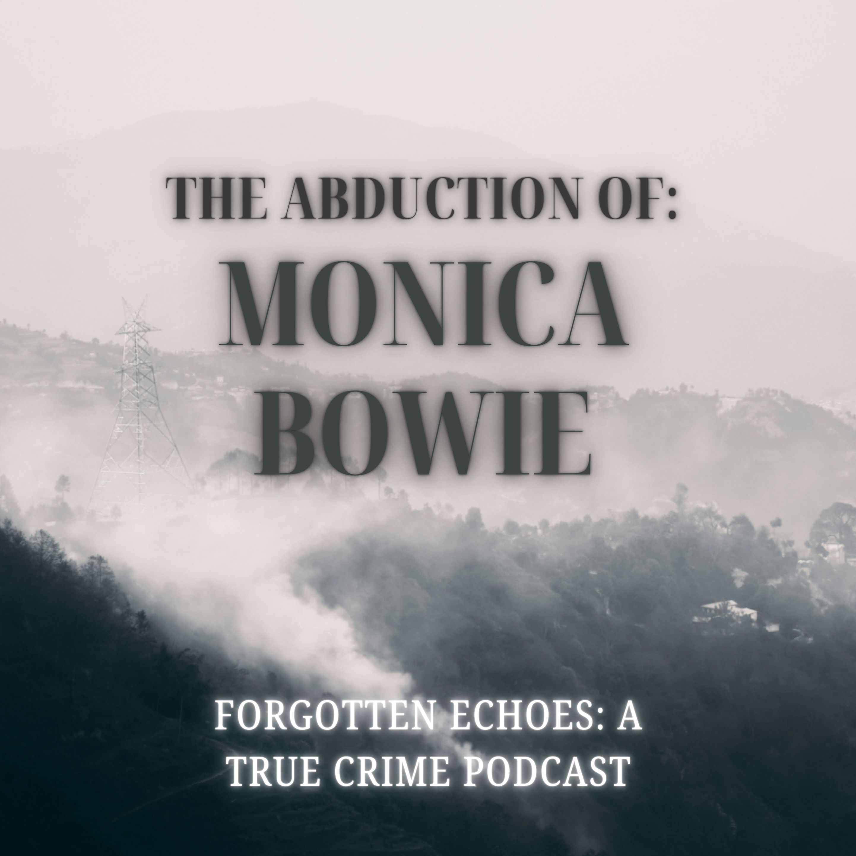 Forgotten Echoes: A True Crime Podcast