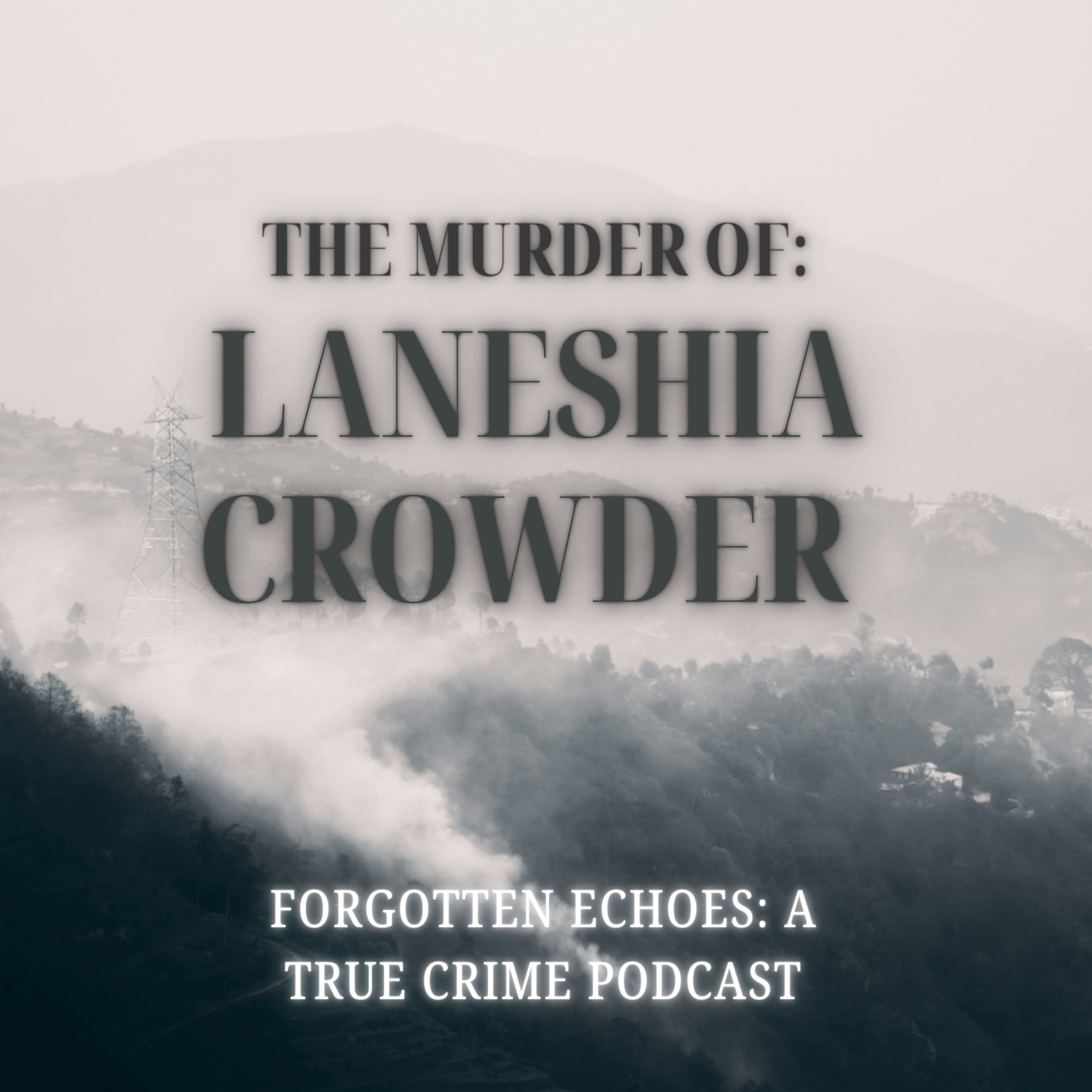 Forgotten Echoes: A True Crime Podcast