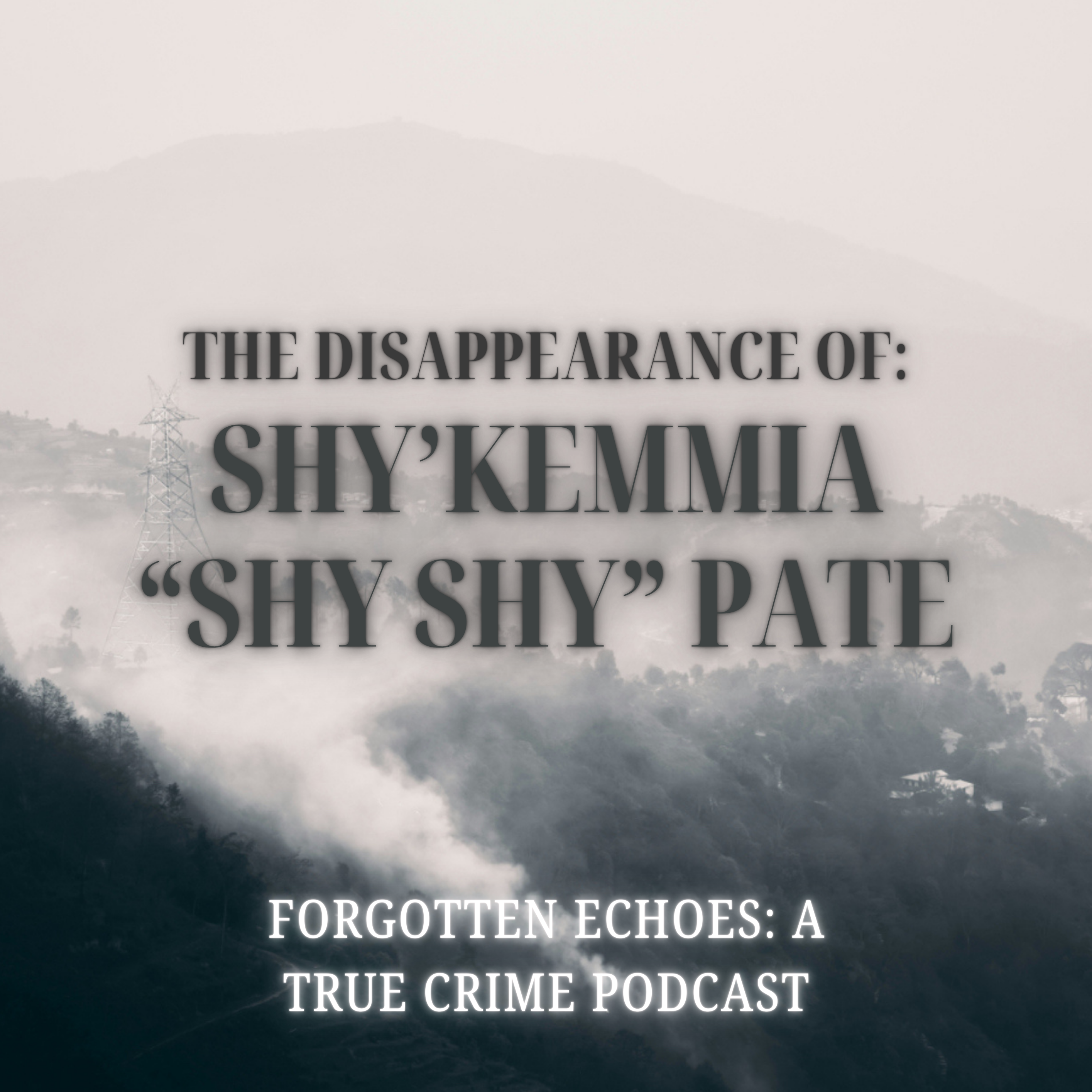 Forgotten Echoes: A True Crime Podcast