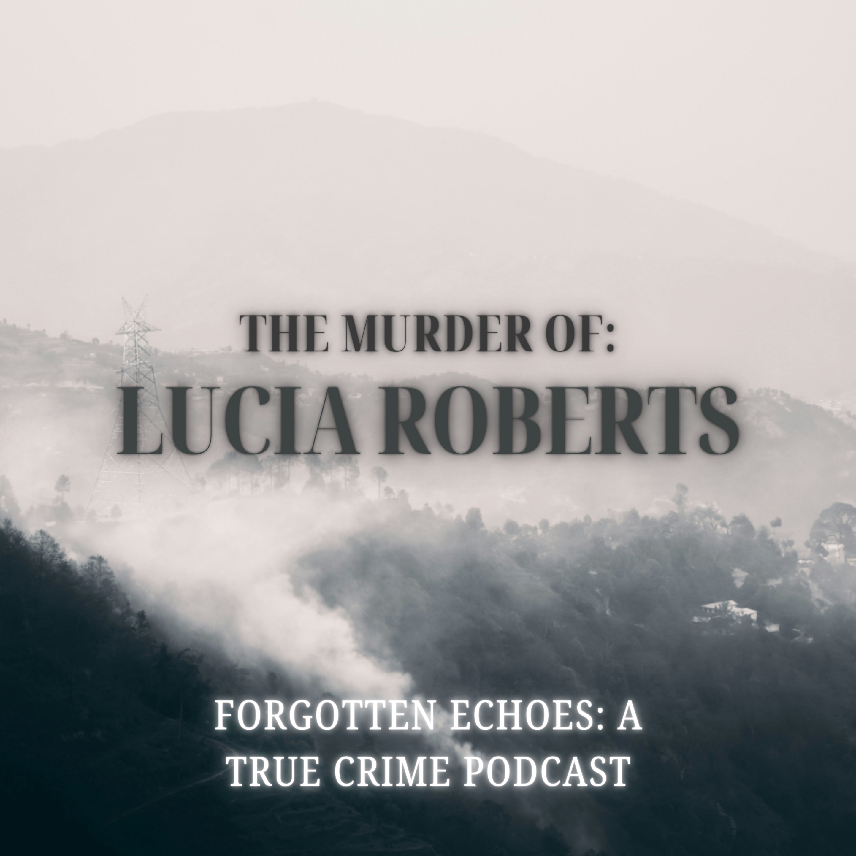 Forgotten Echoes: A True Crime Podcast