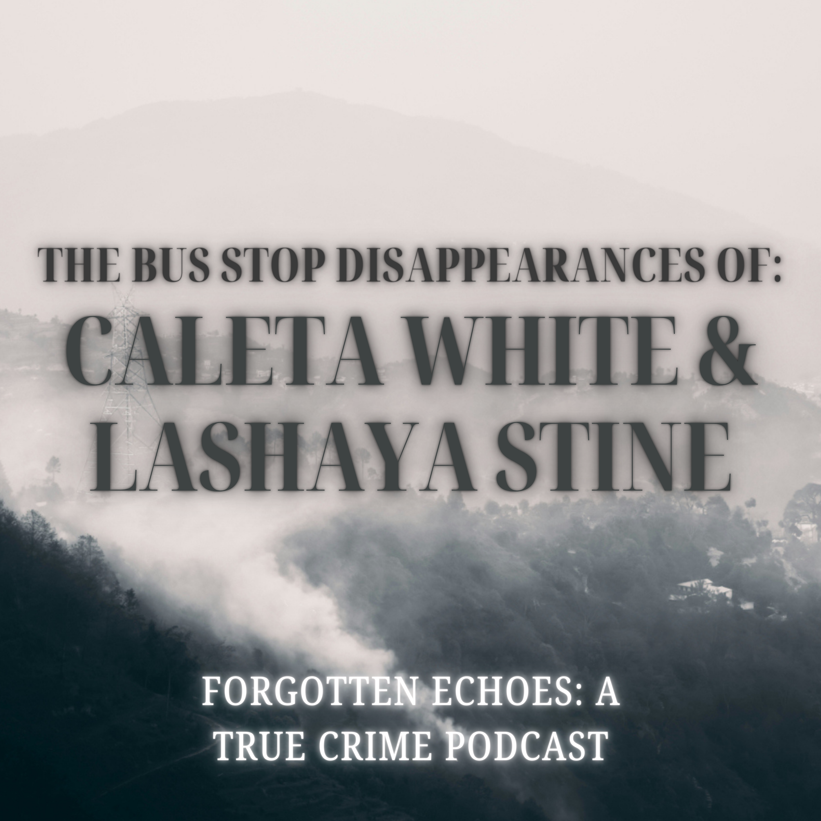Forgotten Echoes: A True Crime Podcast