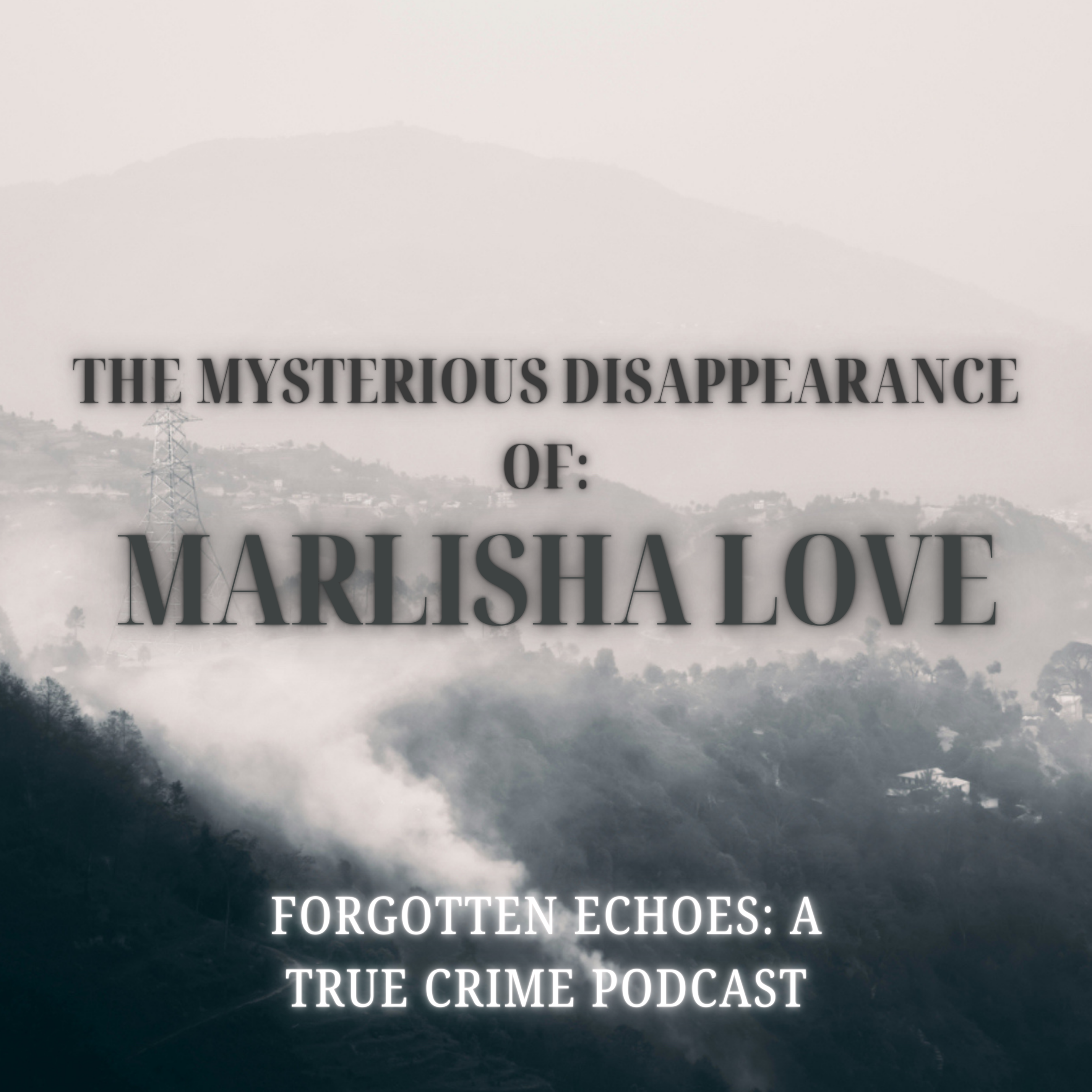 Forgotten Echoes: A True Crime Podcast