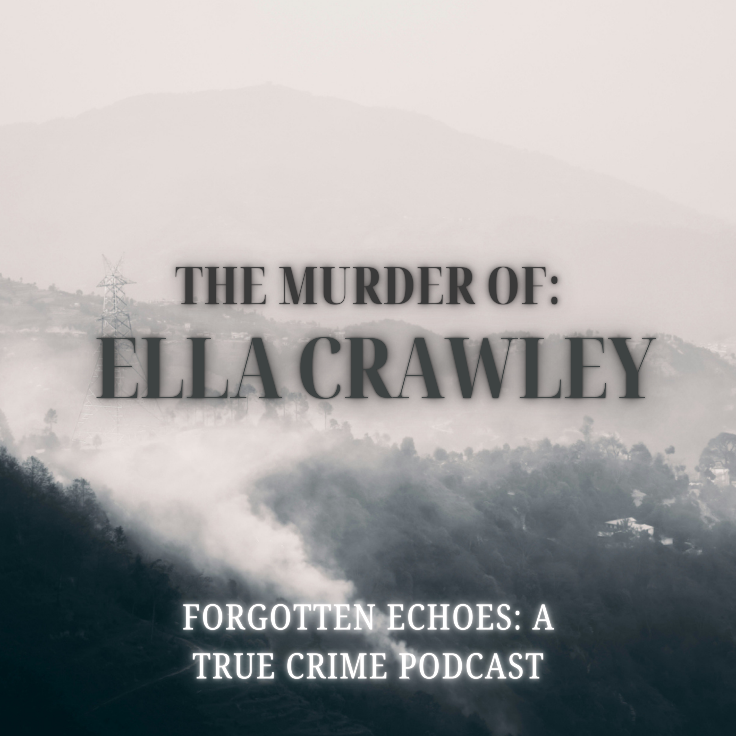 Forgotten Echoes: A True Crime Podcast