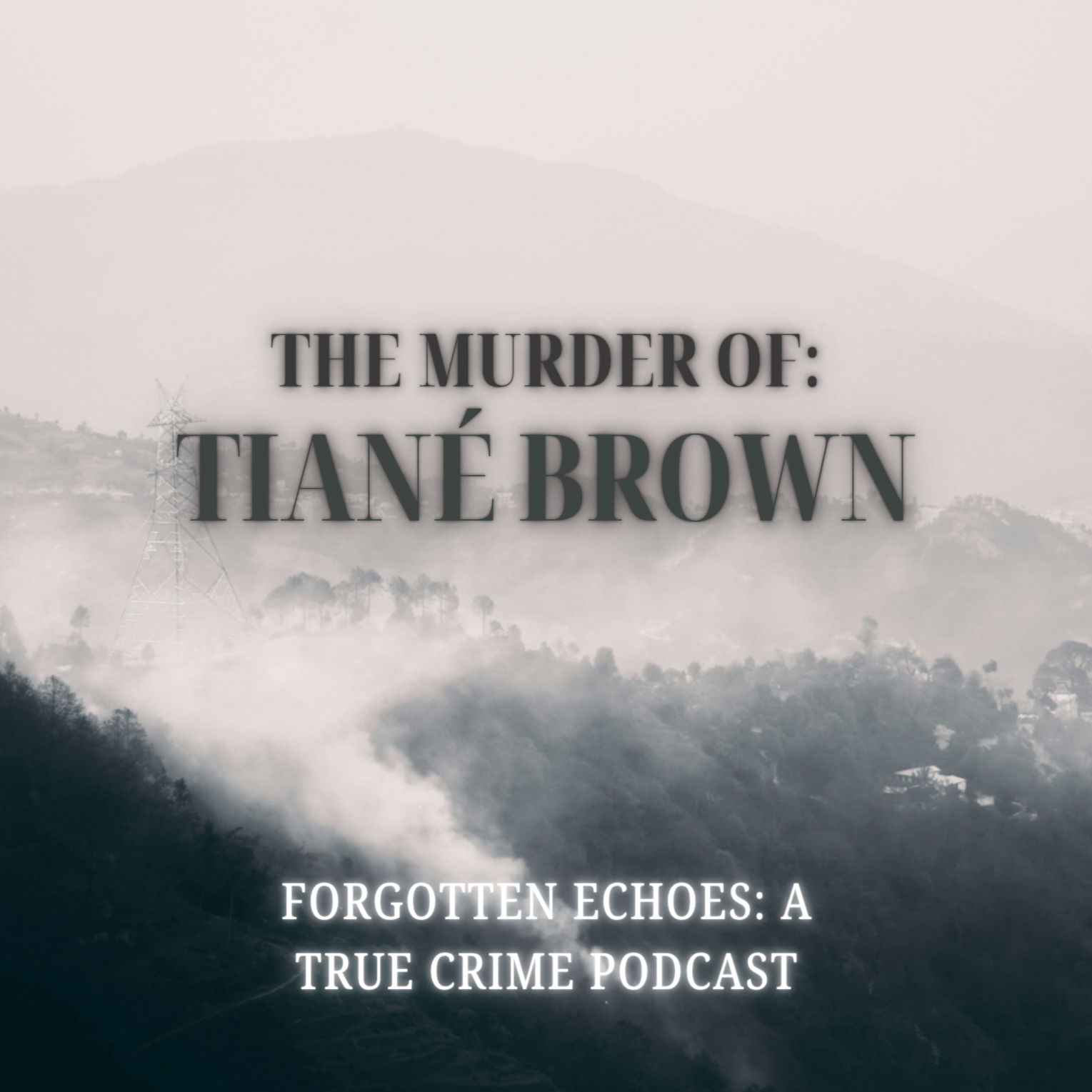 Forgotten Echoes: A True Crime Podcast