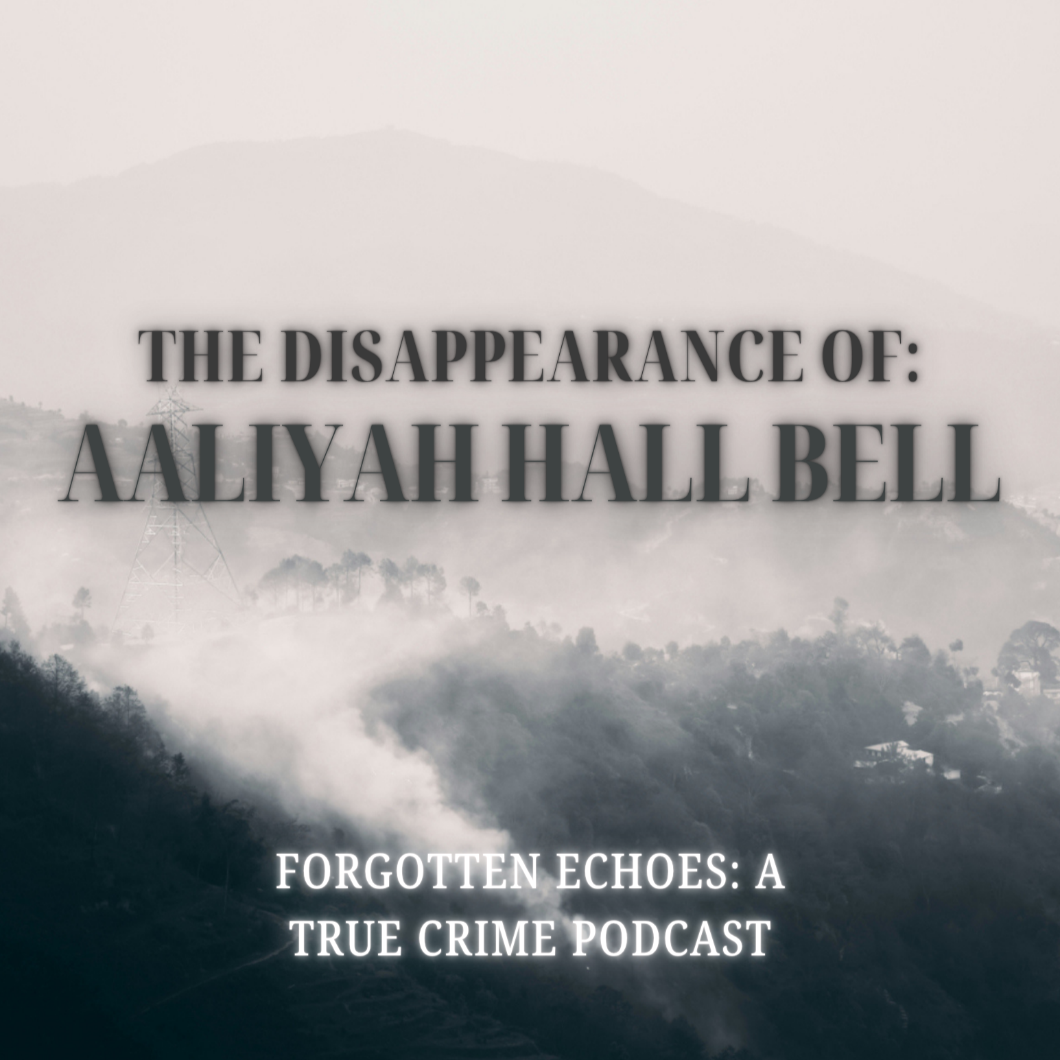 Forgotten Echoes: A True Crime Podcast