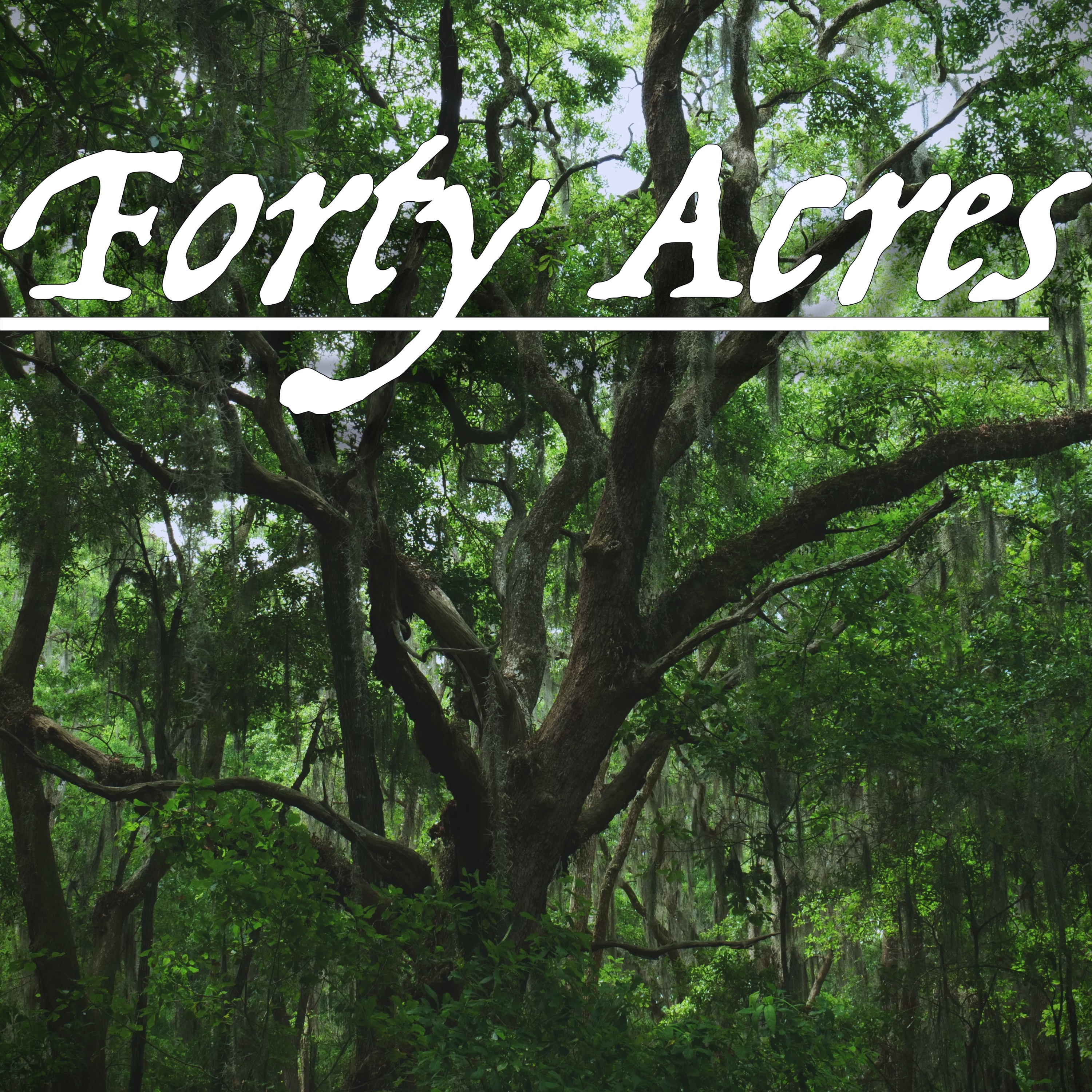 Forty Acres