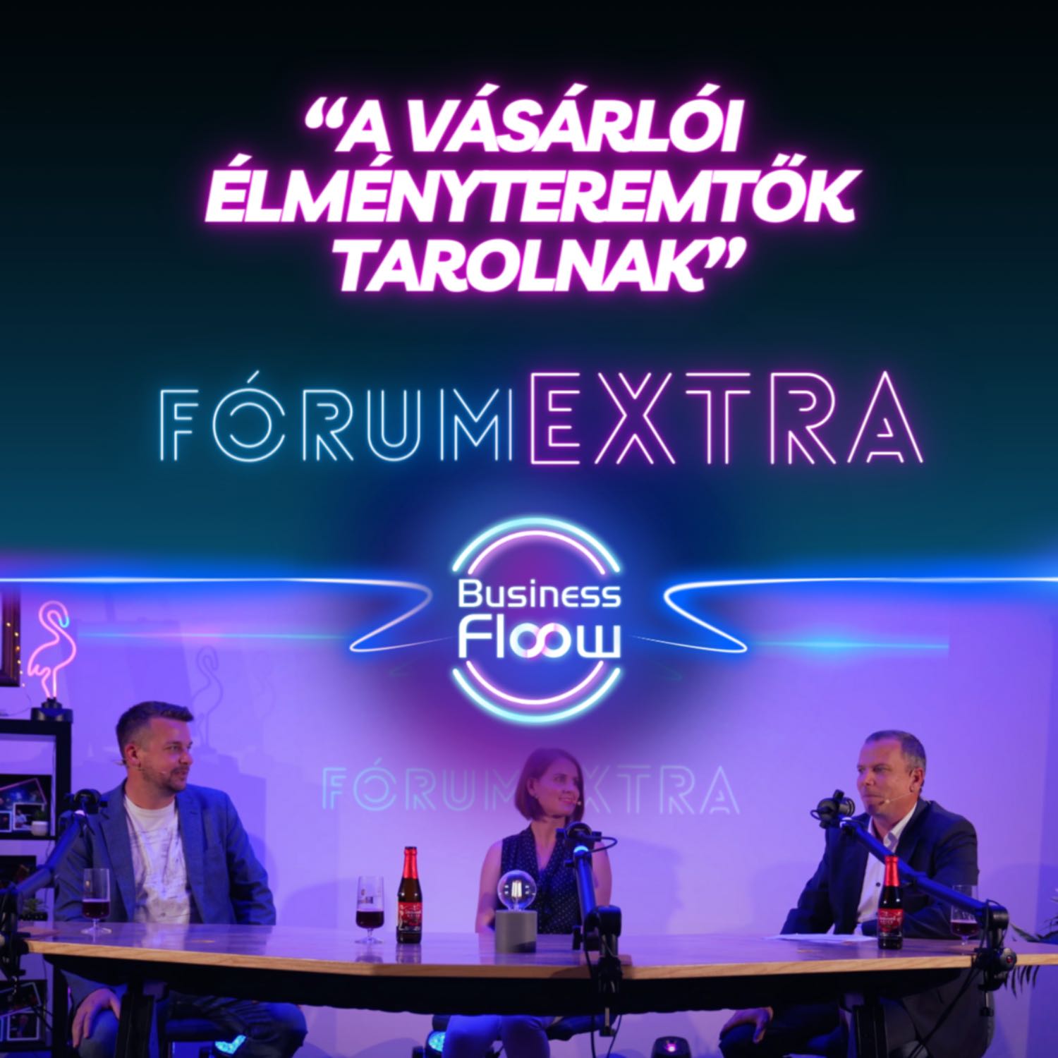 Business Flow 8 podcast