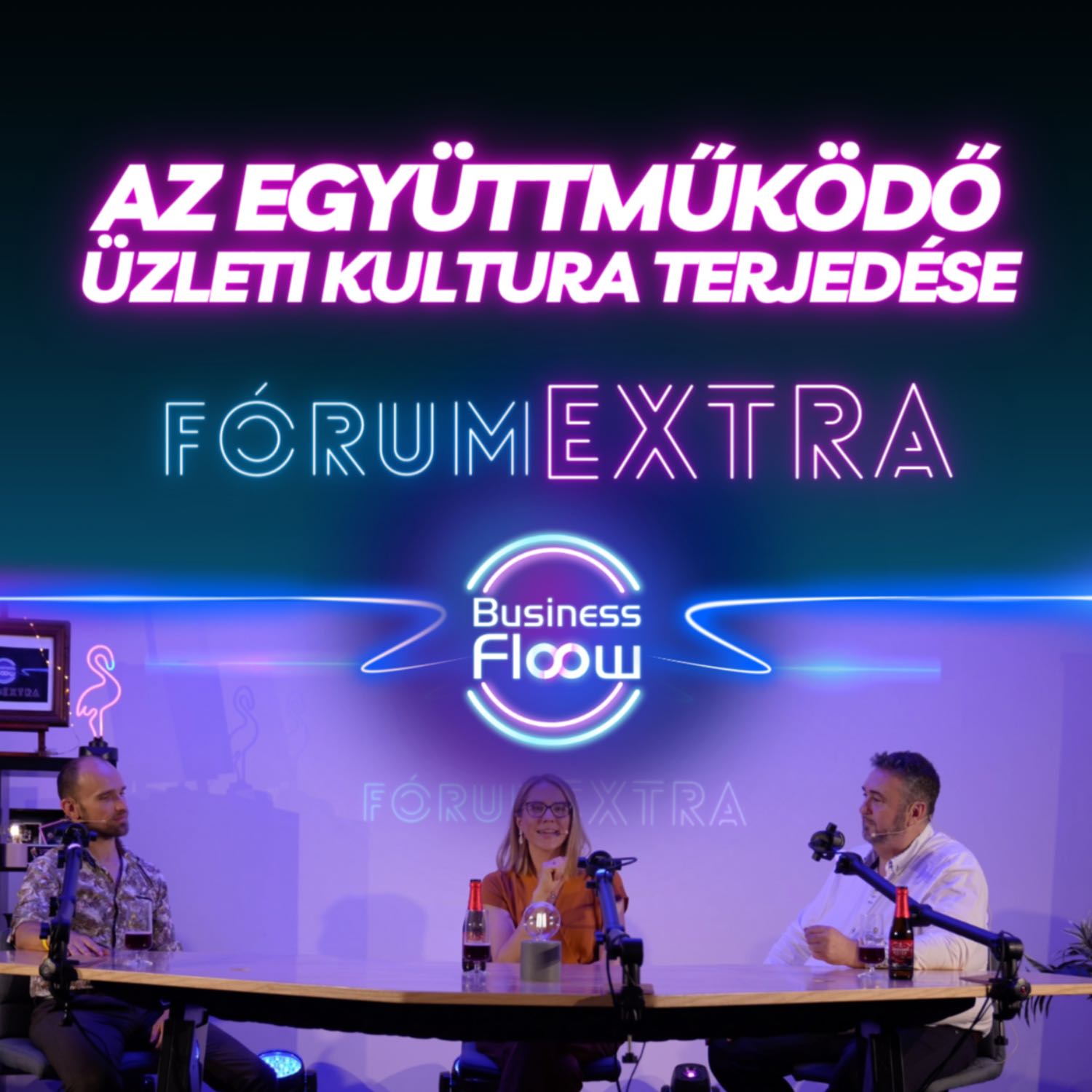 Business Flow 8 podcast