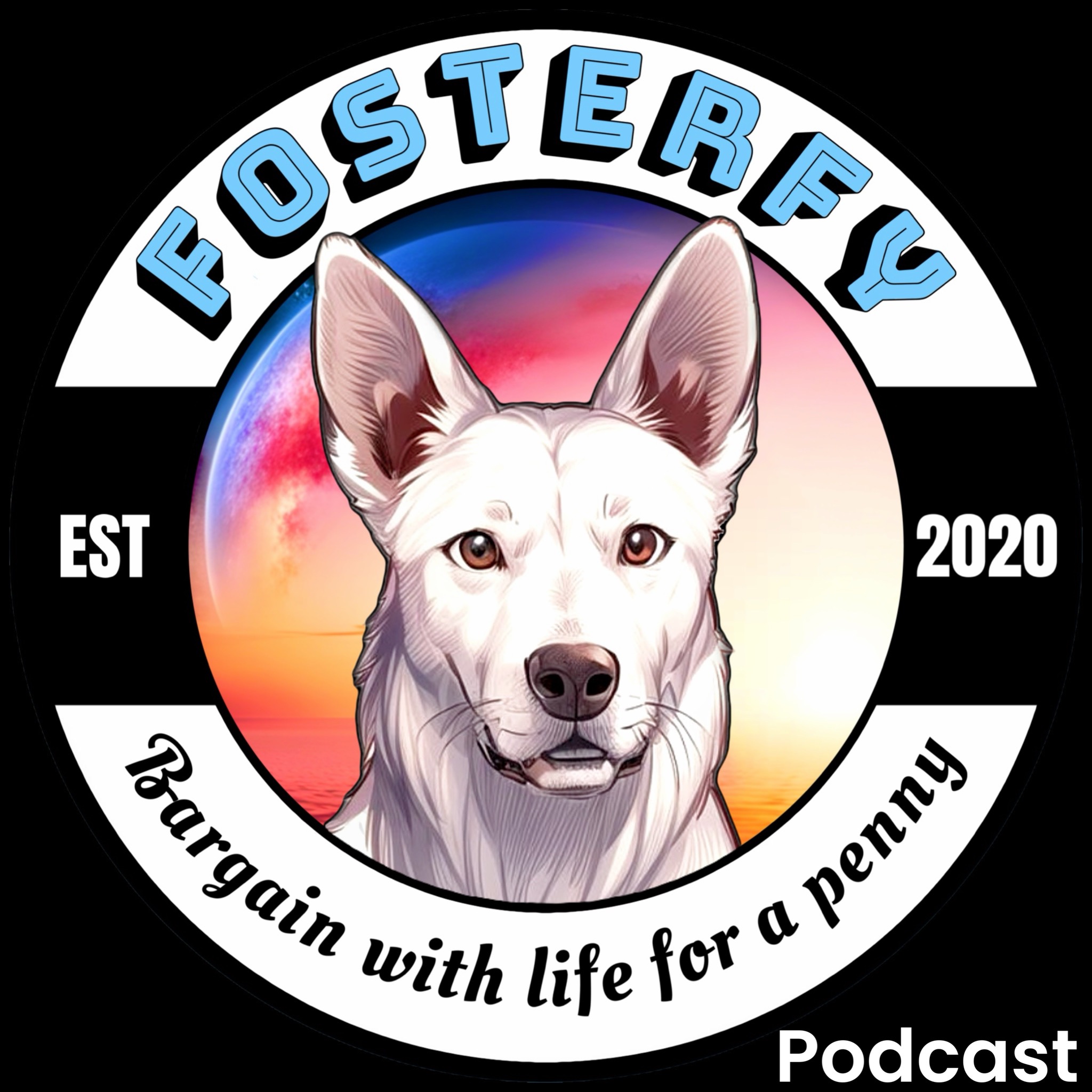 Fosterfy Podcast