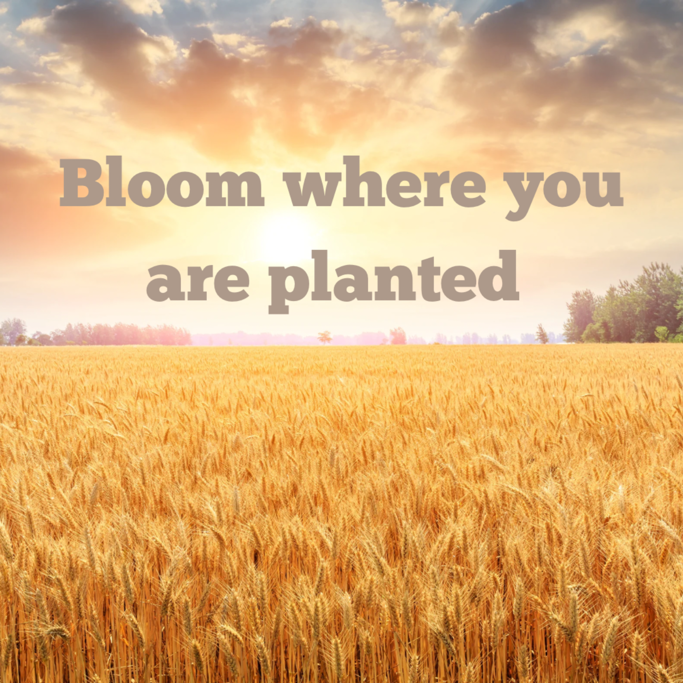 Growing with weeds