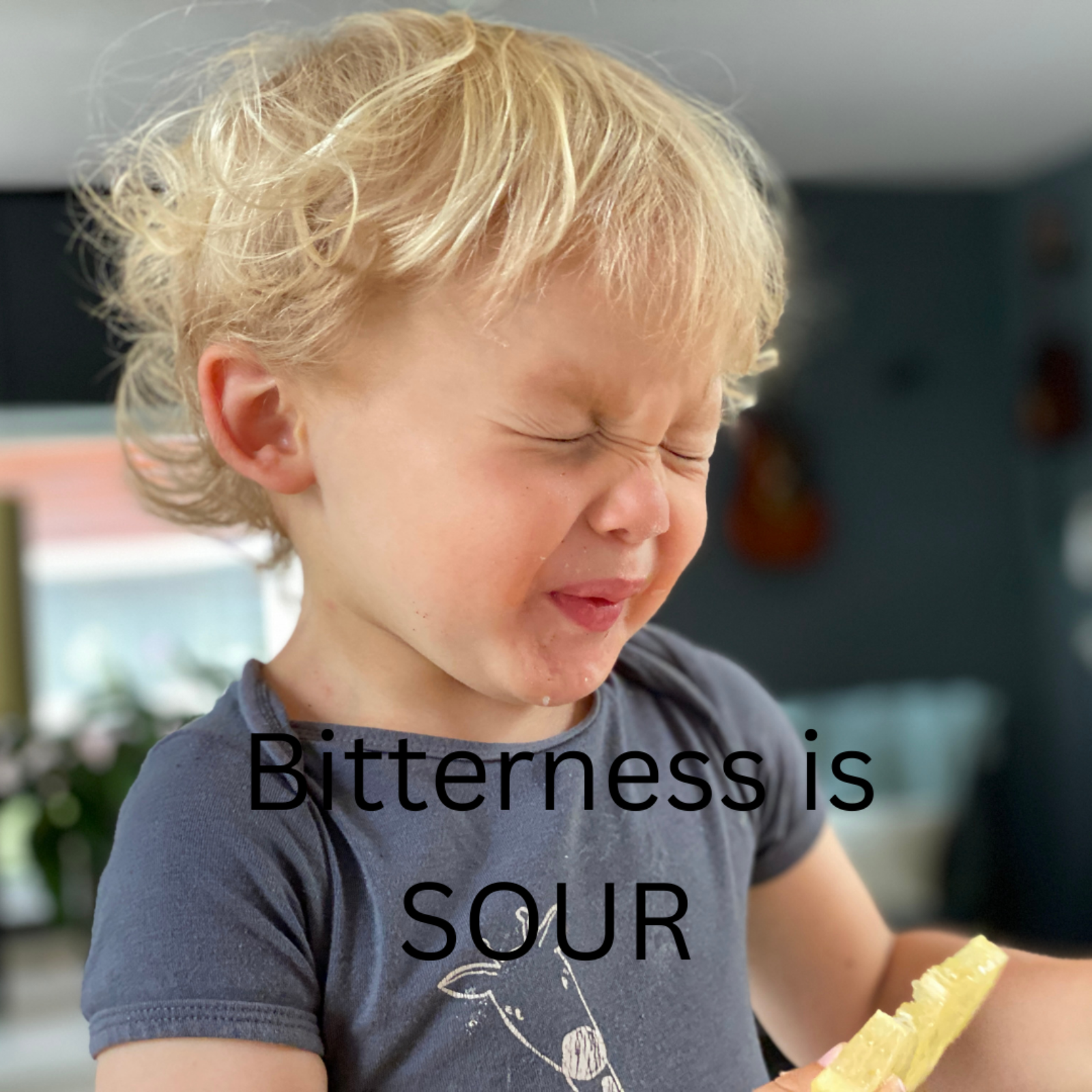 Bitterness is Sour
