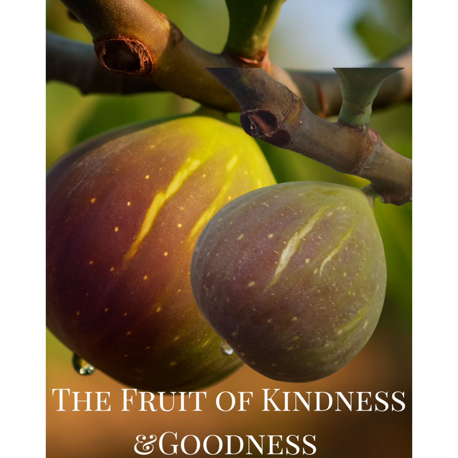 Kindness & Goodness: The Twin Fruits That Change Everything episode artwork