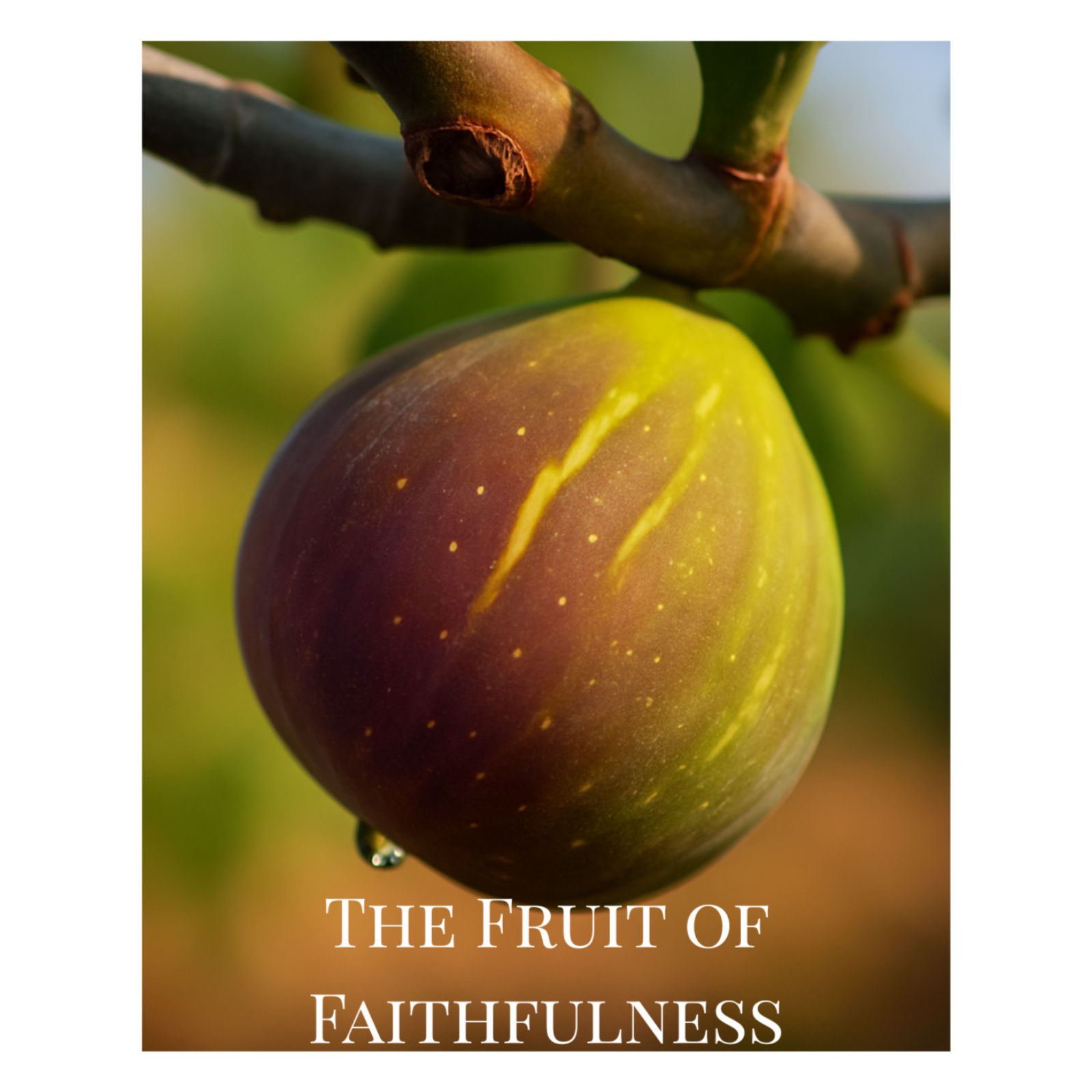 Faithfulness: When God Holds What You Cannot episode artwork