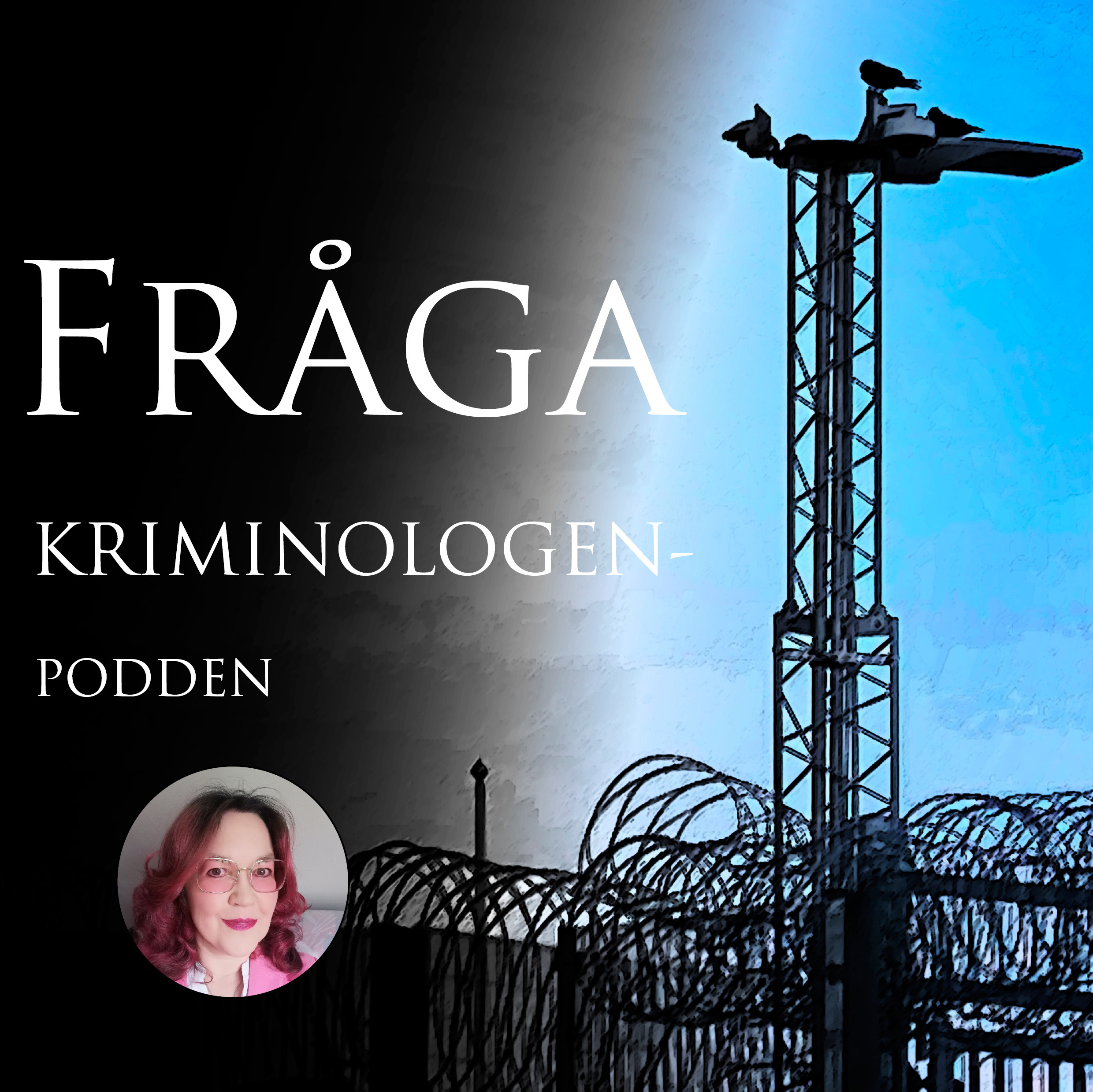 Fråga Kriminologen