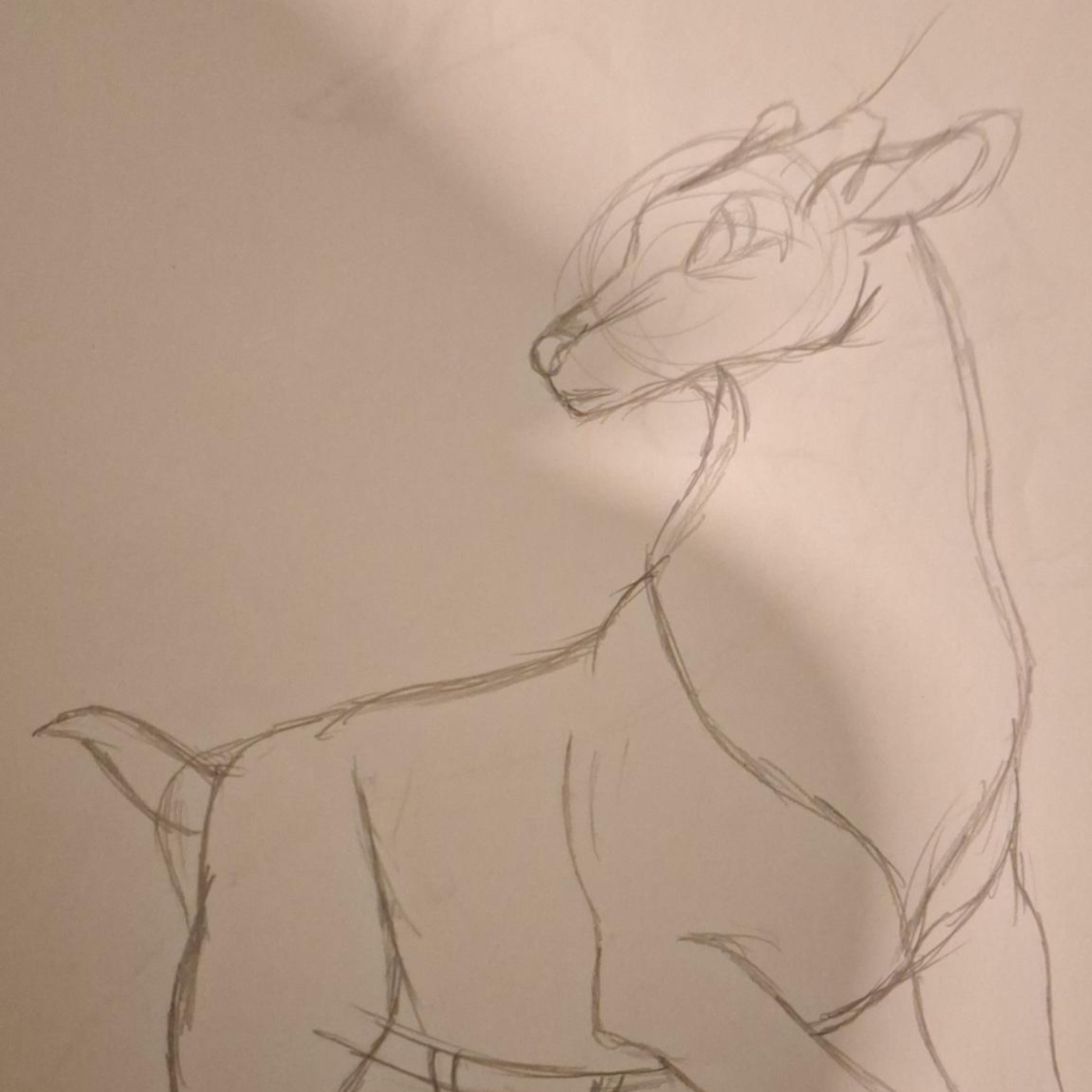 les vocabulaire des animaux episode artwork