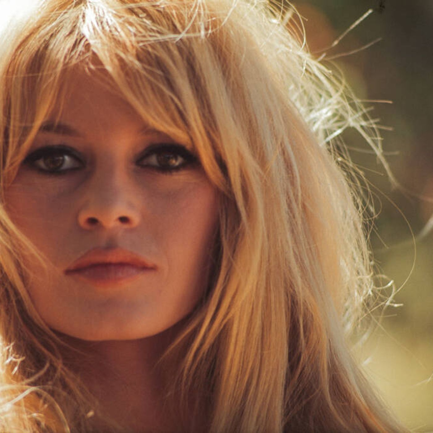 Francia24: Brigitte Bardot nuovamente ricoverata - Sarkozy ha scritto un libro sulle sue prigioni - BHV, resterà solo Shein? - Meteo Parigi episode artwork