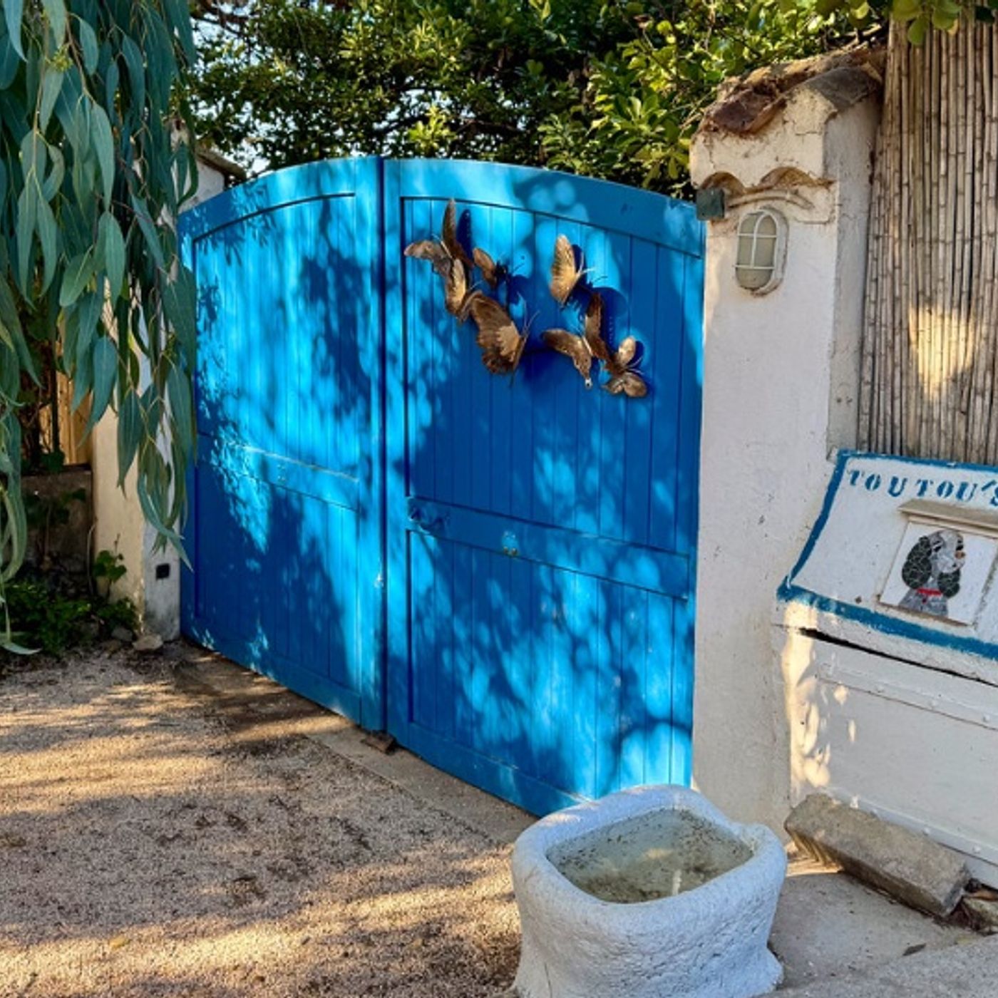 Nizza24: Brigitte Bardot, miracolo di Natale - Mayotte,  blackout anche sul numero di vittime - Proiettore stellare e panettone pericolosi episode artwork