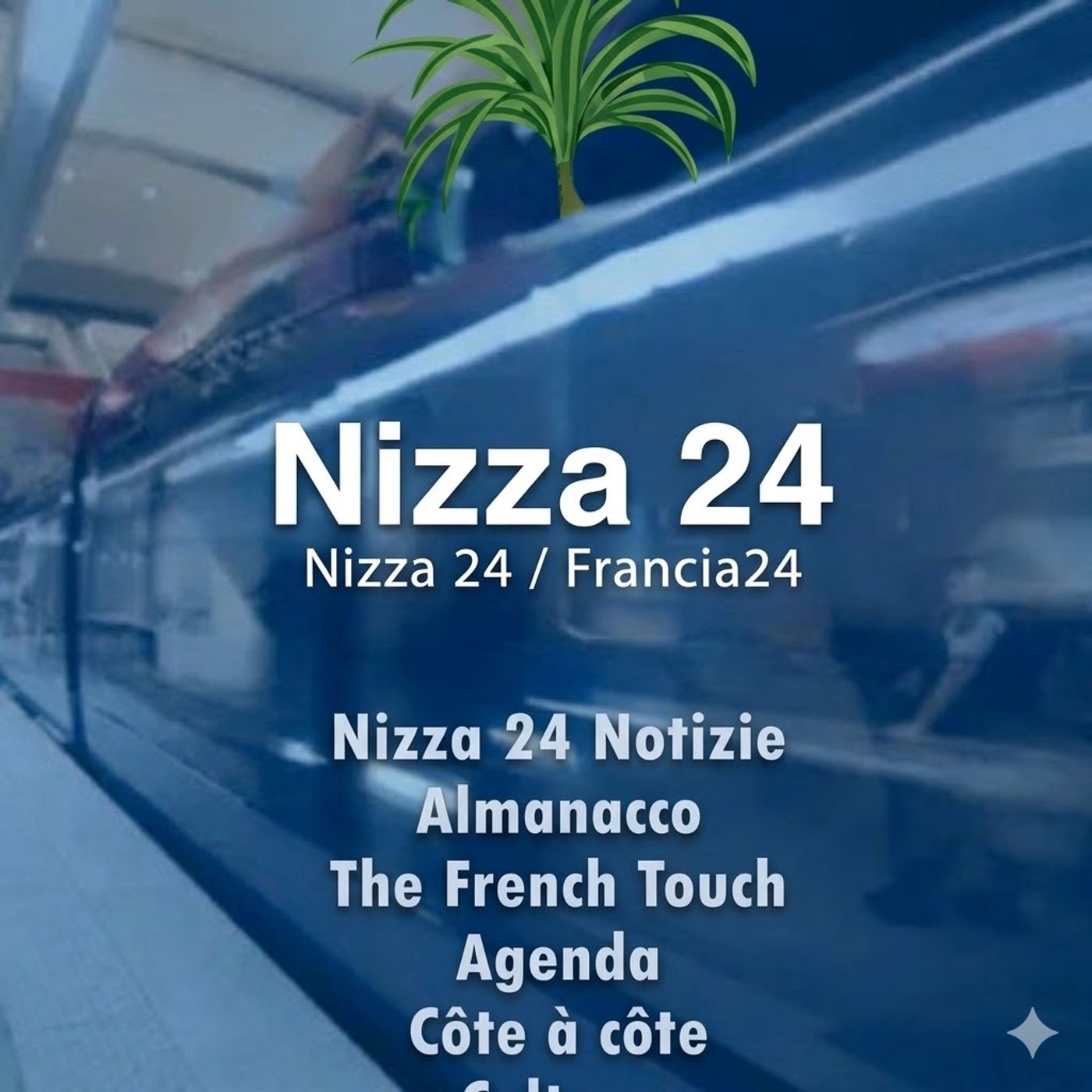Nizza24 venerdì 20 marzo: Economia Monaco Italia - Pettorali Quasi Esauriti per la Maratona Nice-Cannes - Météo Week-End episode artwork