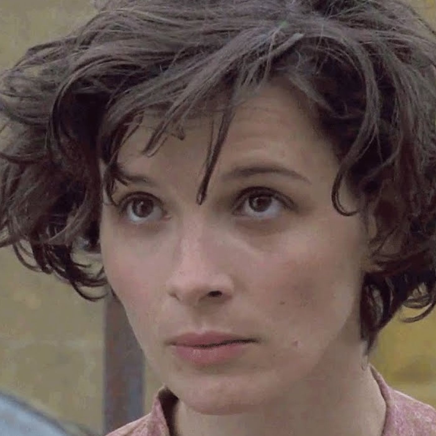 Nizza24: Juliette Binoche presidente Festival Cinema di Cannes -  La frode del Gatto Scomparso - Nuove tasse per gli automobilisti episode artwork