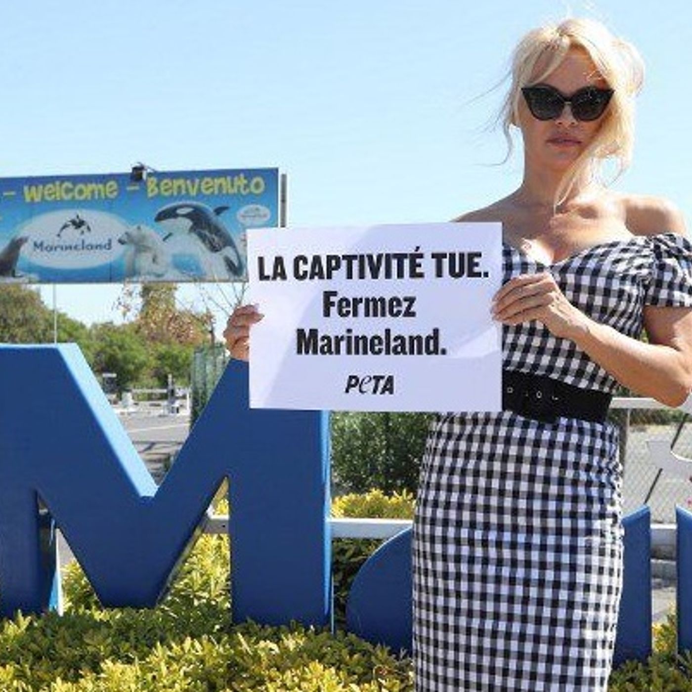 Nizza24: Tram, nuova linea B e tutti i cambiamenti in vigore - Multe, attenti alle auto spia - Marineland, chiusura "annualle" episode artwork