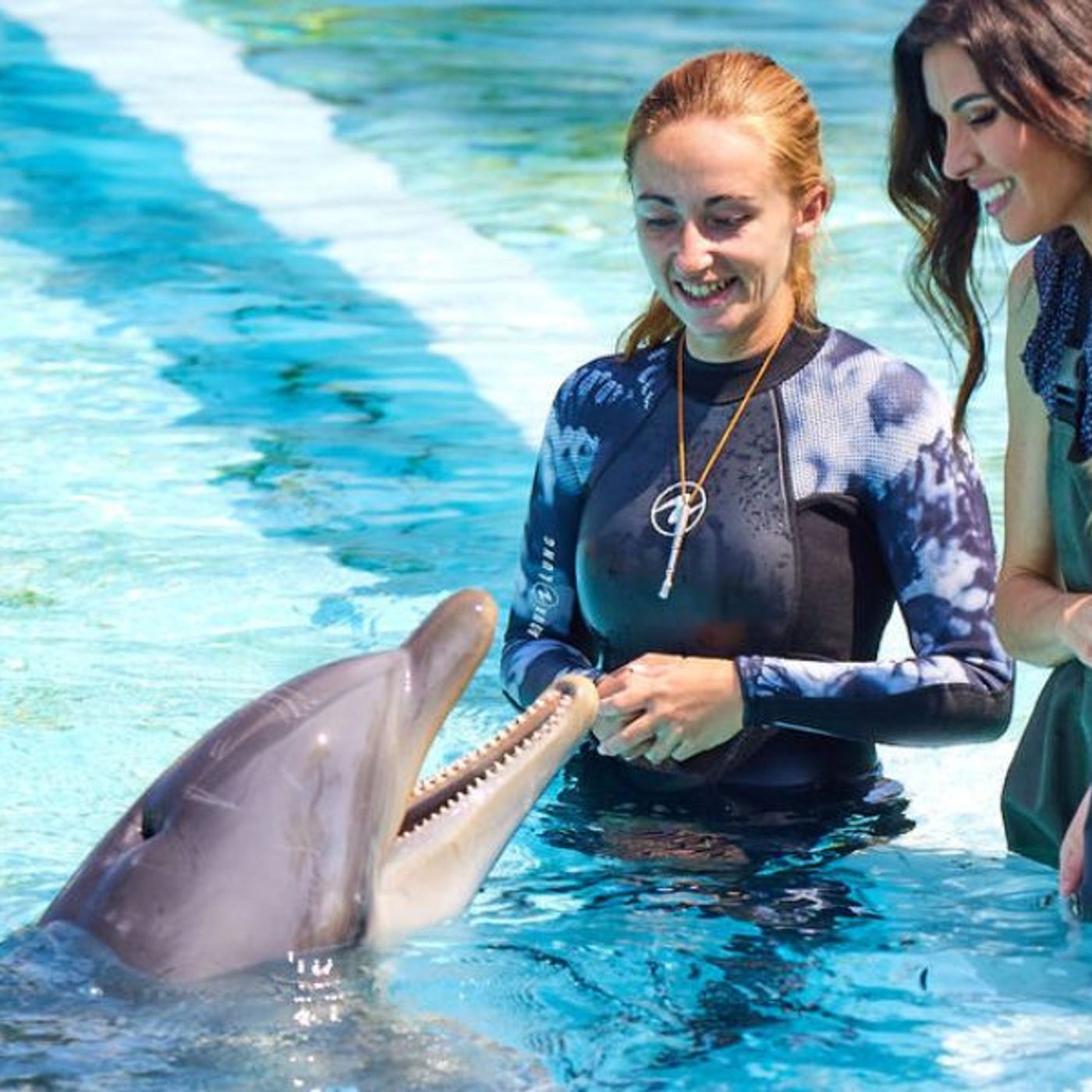 Nizza24 lunedì 29 settembre: Dove Andranno i Delfini di Marineland? - Famiglia Salvata in Montagna - Météo Lunedì episode artwork