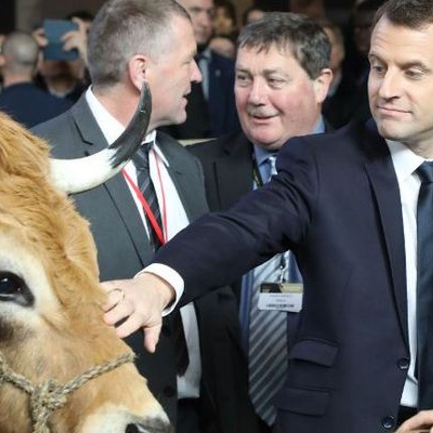 Francia24: Niente Mucche al Salone dell'Agricoltura -    Sonia Mabrouk a BFM Business - L'Editoriale di Rachel episode artwork