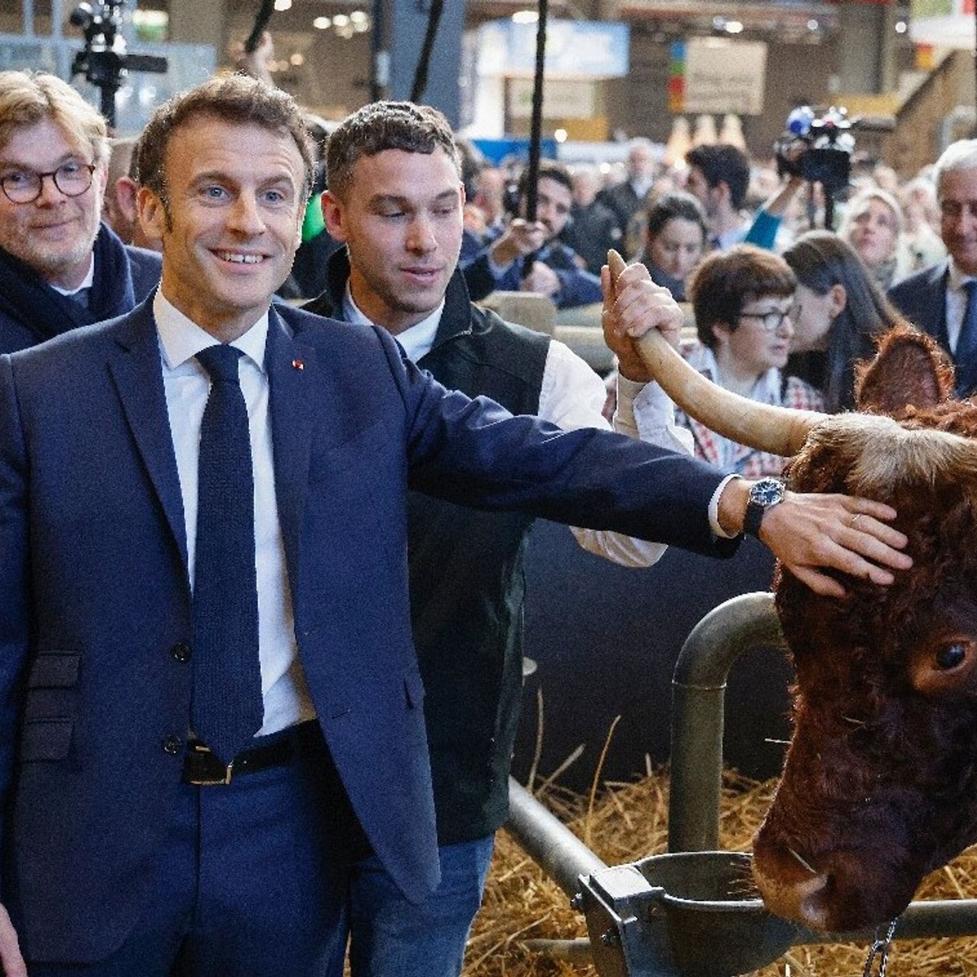Francia24: disoccupazione in aumento, obiettivi di Macron compromessi - Nuova tassa: sui fast food, applicabile vicino alle scuole - Attenti episode artwork