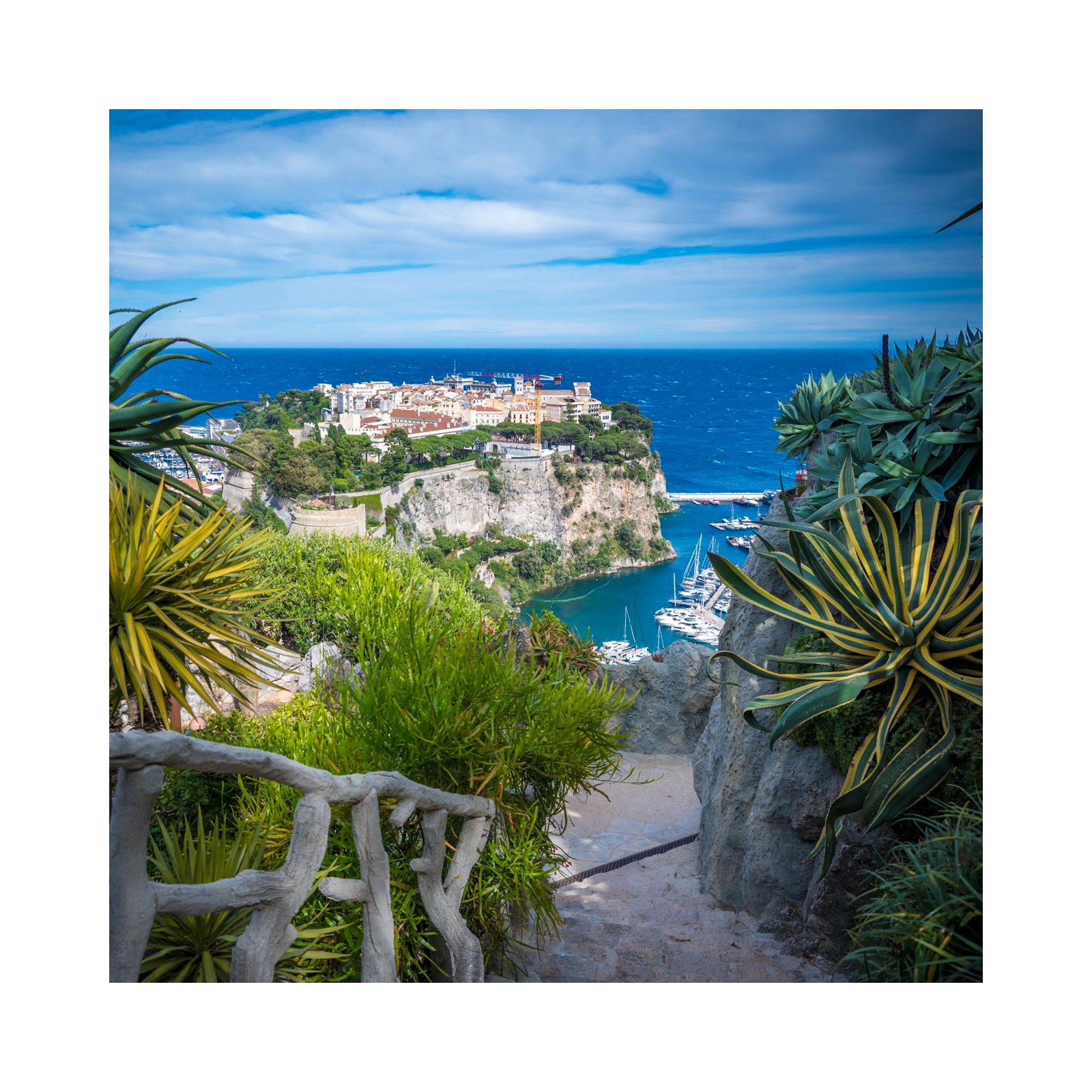 Il Jardin Exotique, il balcone di Monaco sul Mediterraneo – Côte à côte episode artwork