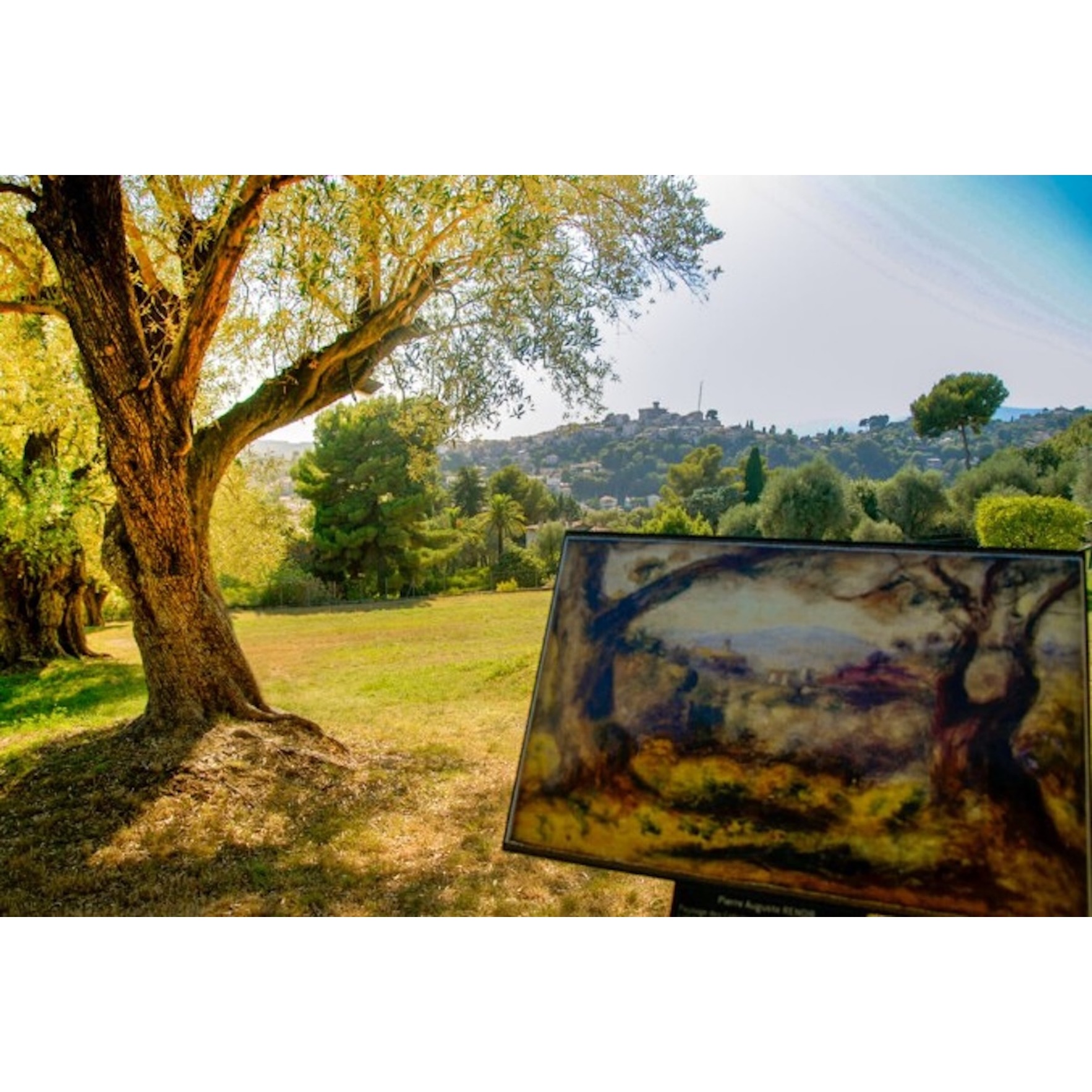 Furto Museo Renoir: Intervista a Giornale Radio episode artwork