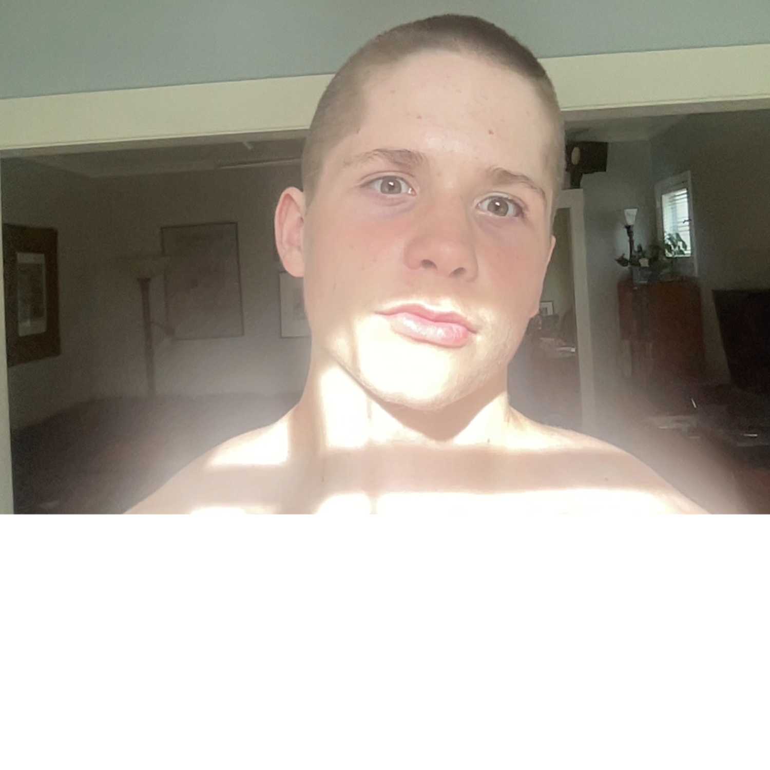 Franklimprovement