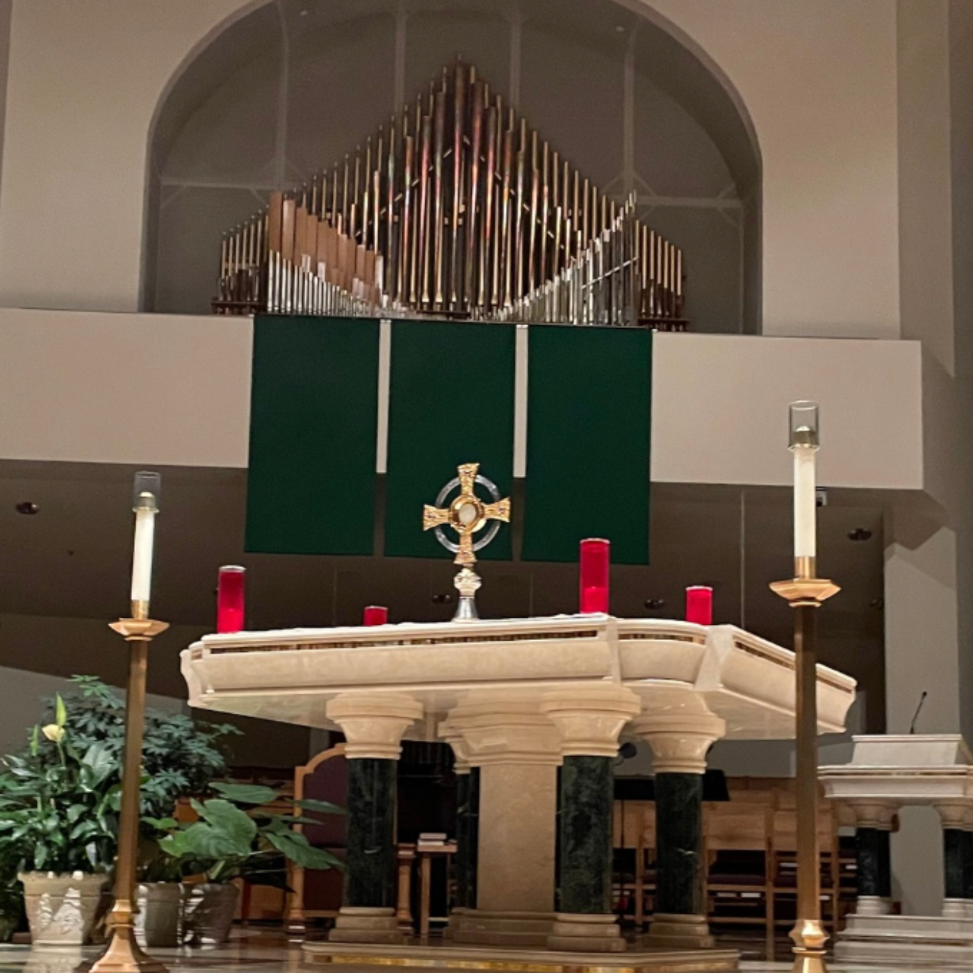 Homilies - Fr. Daniel Scheidt - St. Vincent de Paul