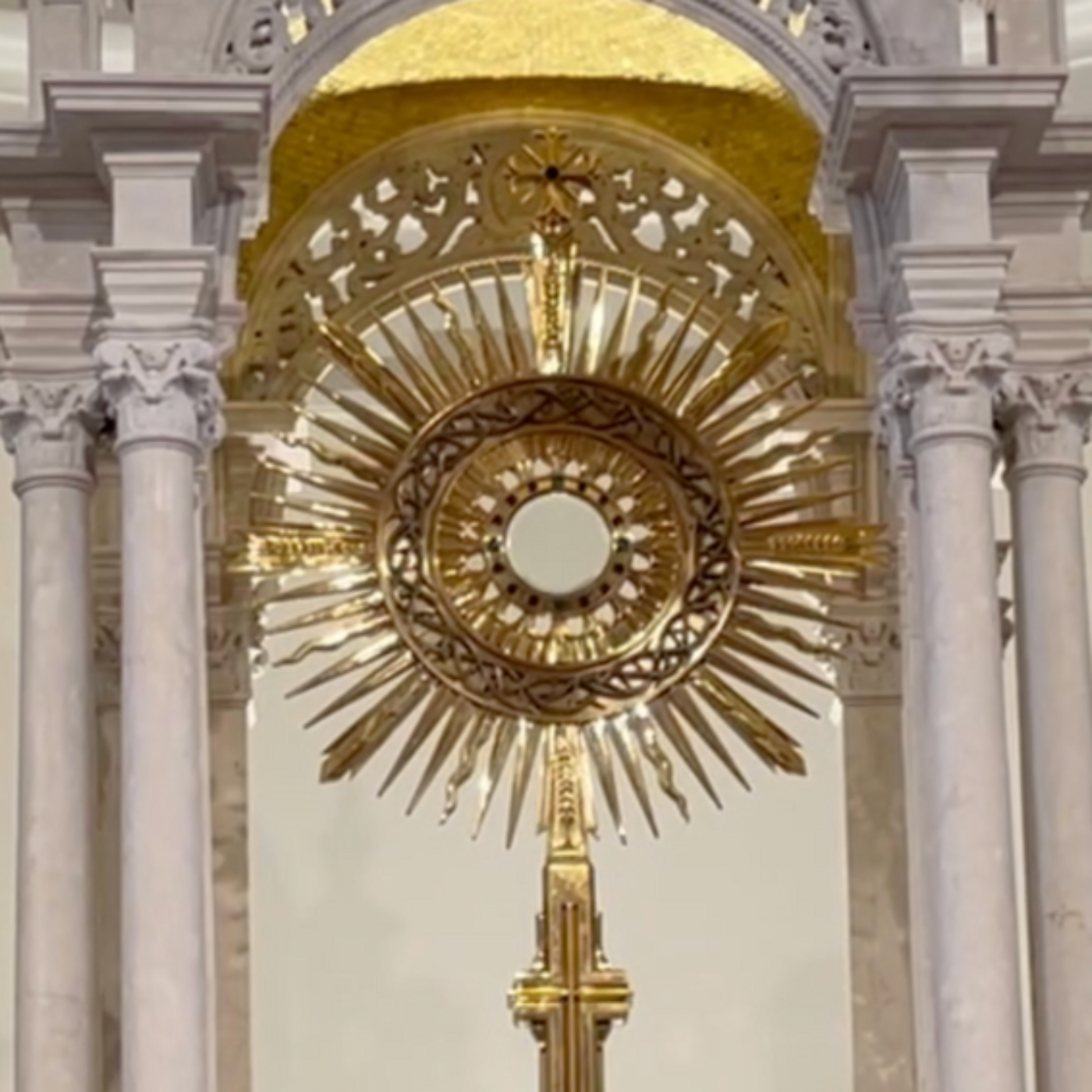 Homilies - Fr. Daniel Scheidt - St. Vincent de Paul