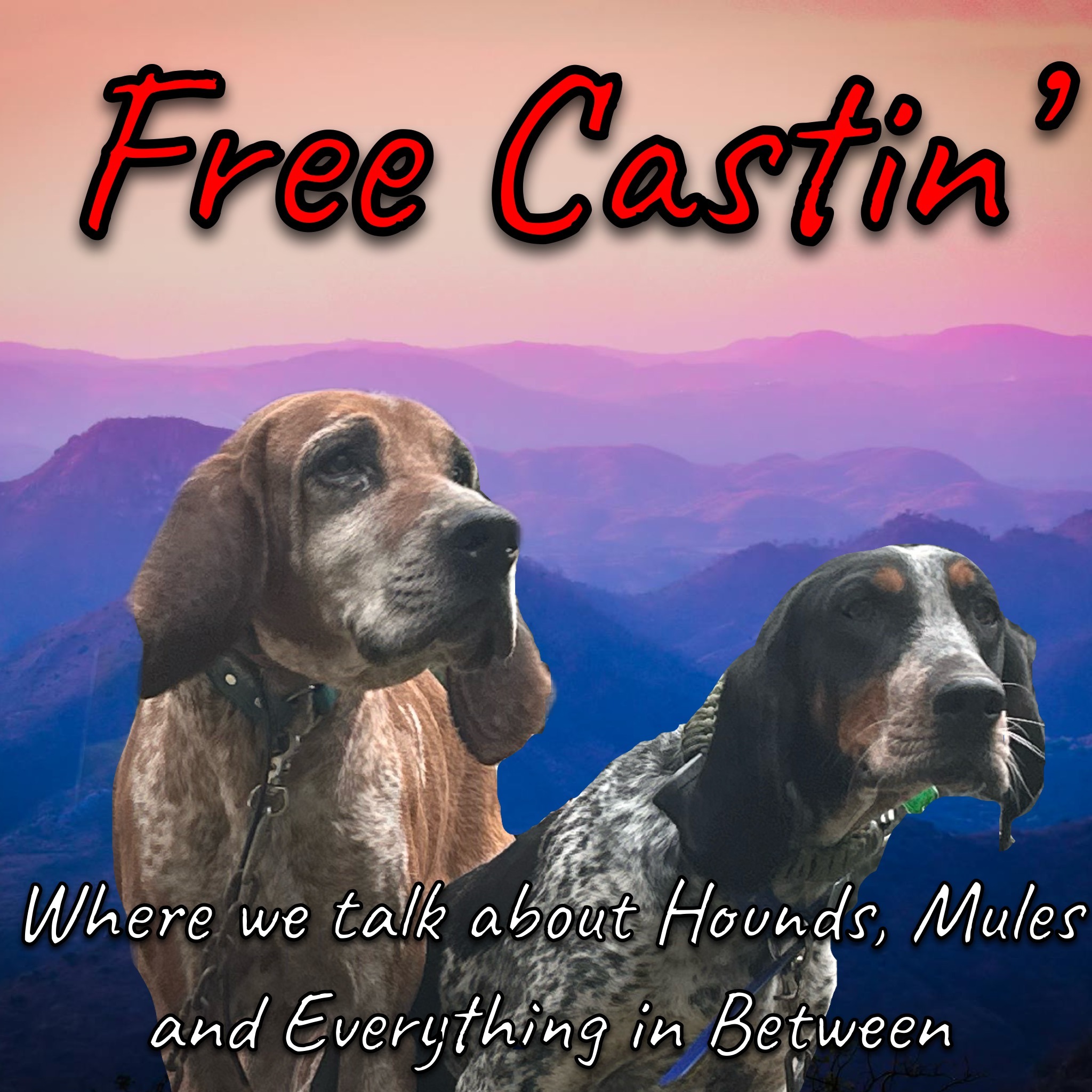 Free Castin' 
