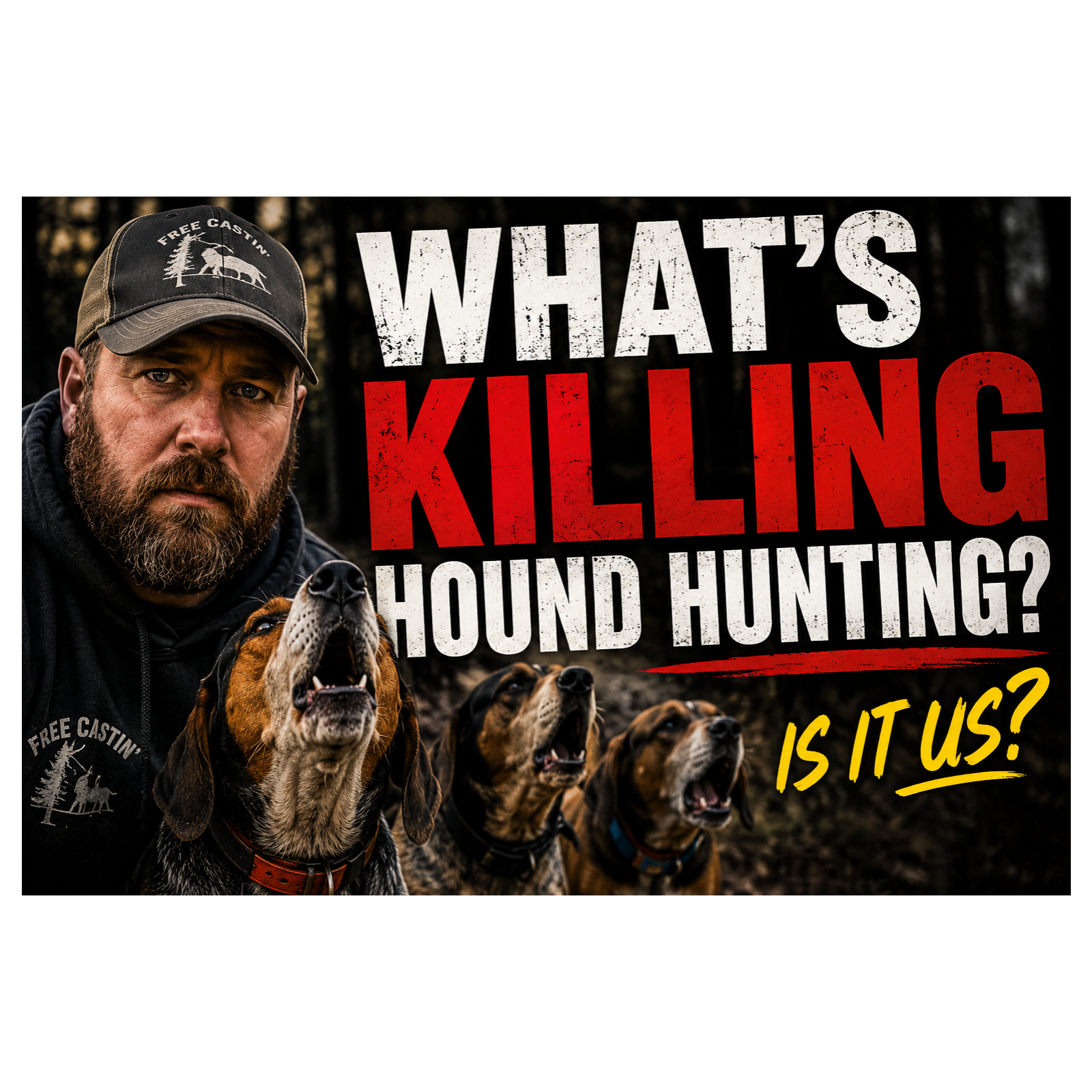 What’s REALLY Killing Hound Hunting?