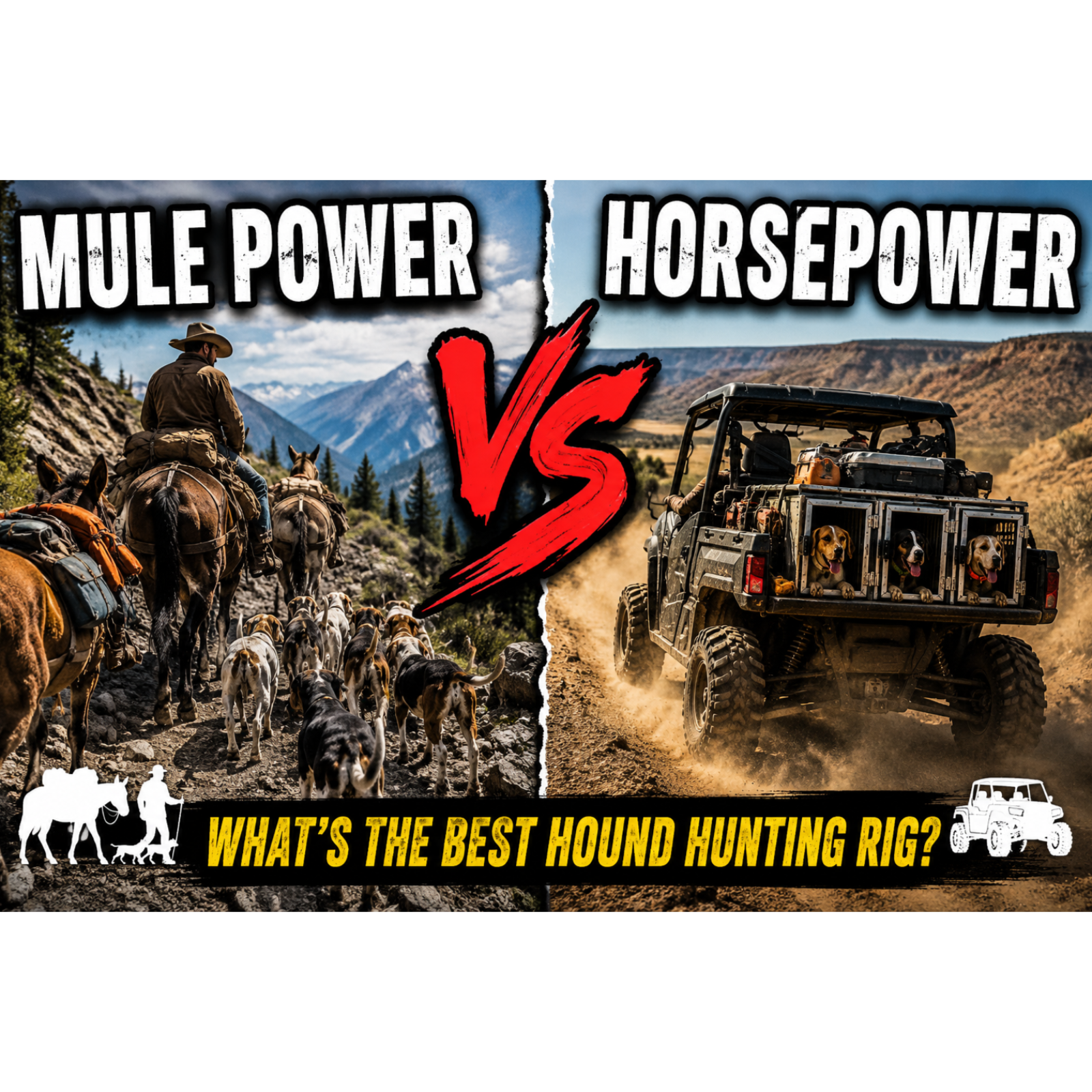 OHV or back of a MULE?
